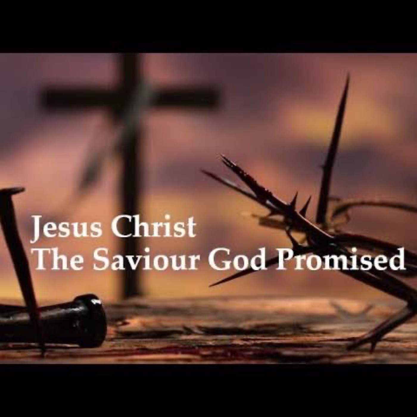 the Promised Savior Gen. 3:15, Micah 5:2, Isaiah 53 episode artwork