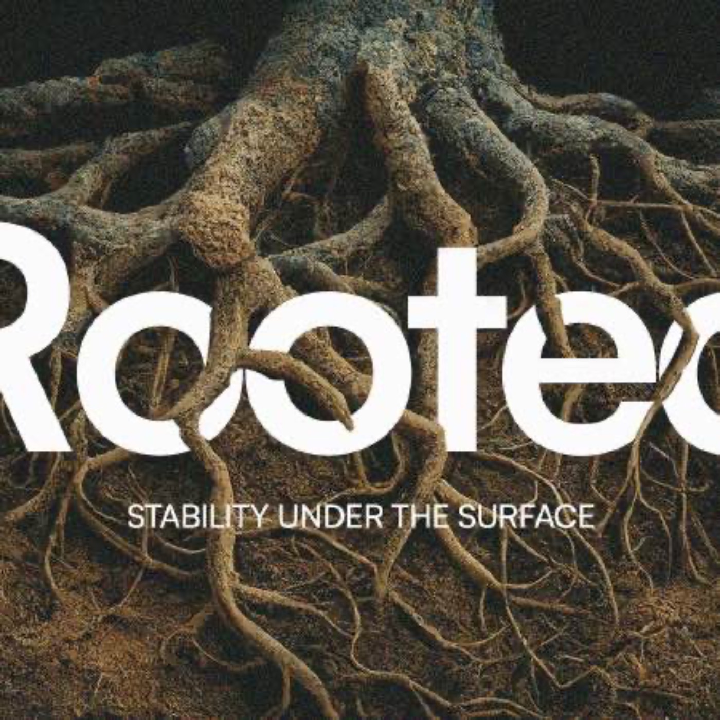 Rooted in Trust Jeremiah 17:7-8 episode artwork