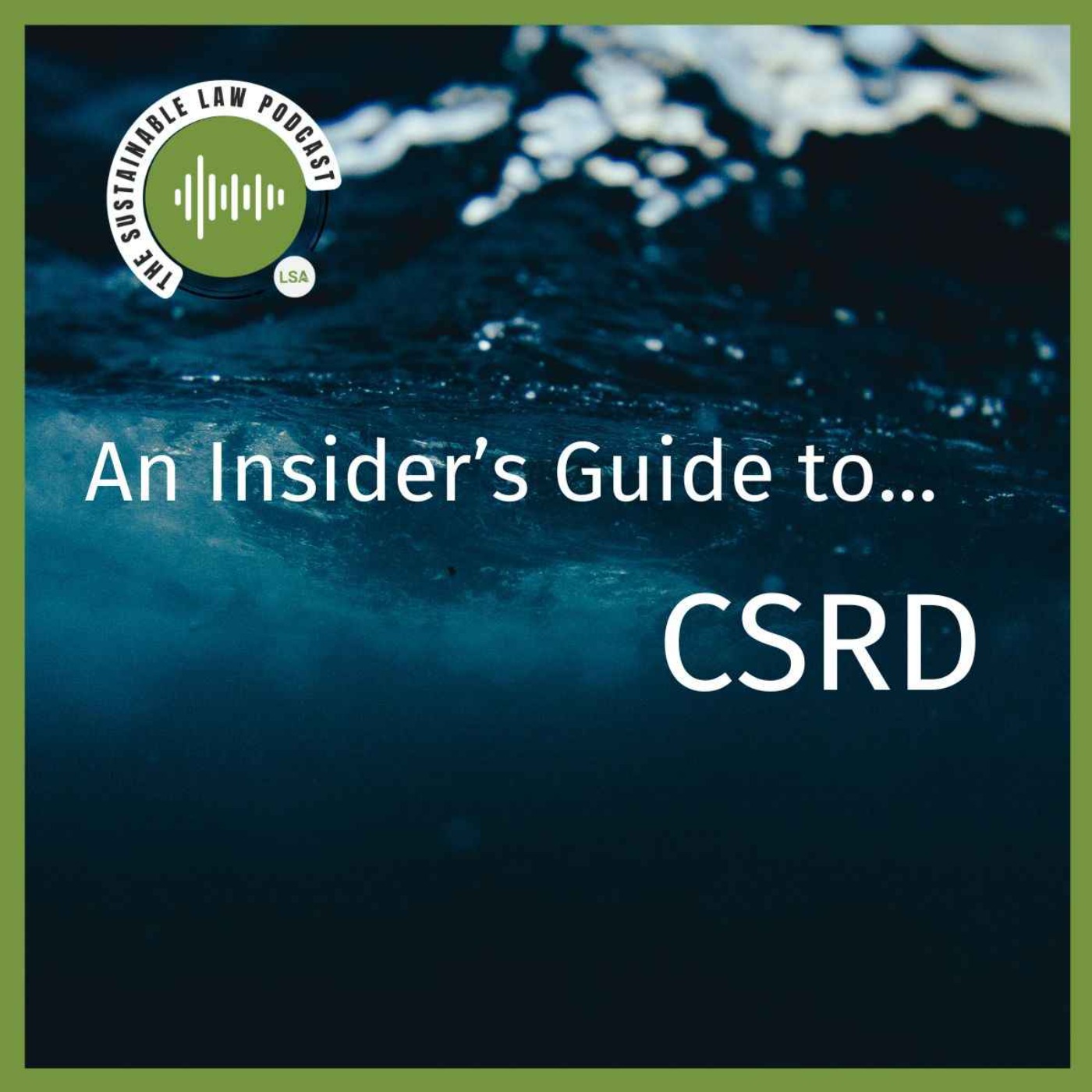 An Insider's Guide to... CSRD An Insider's Guide to... CSRD
