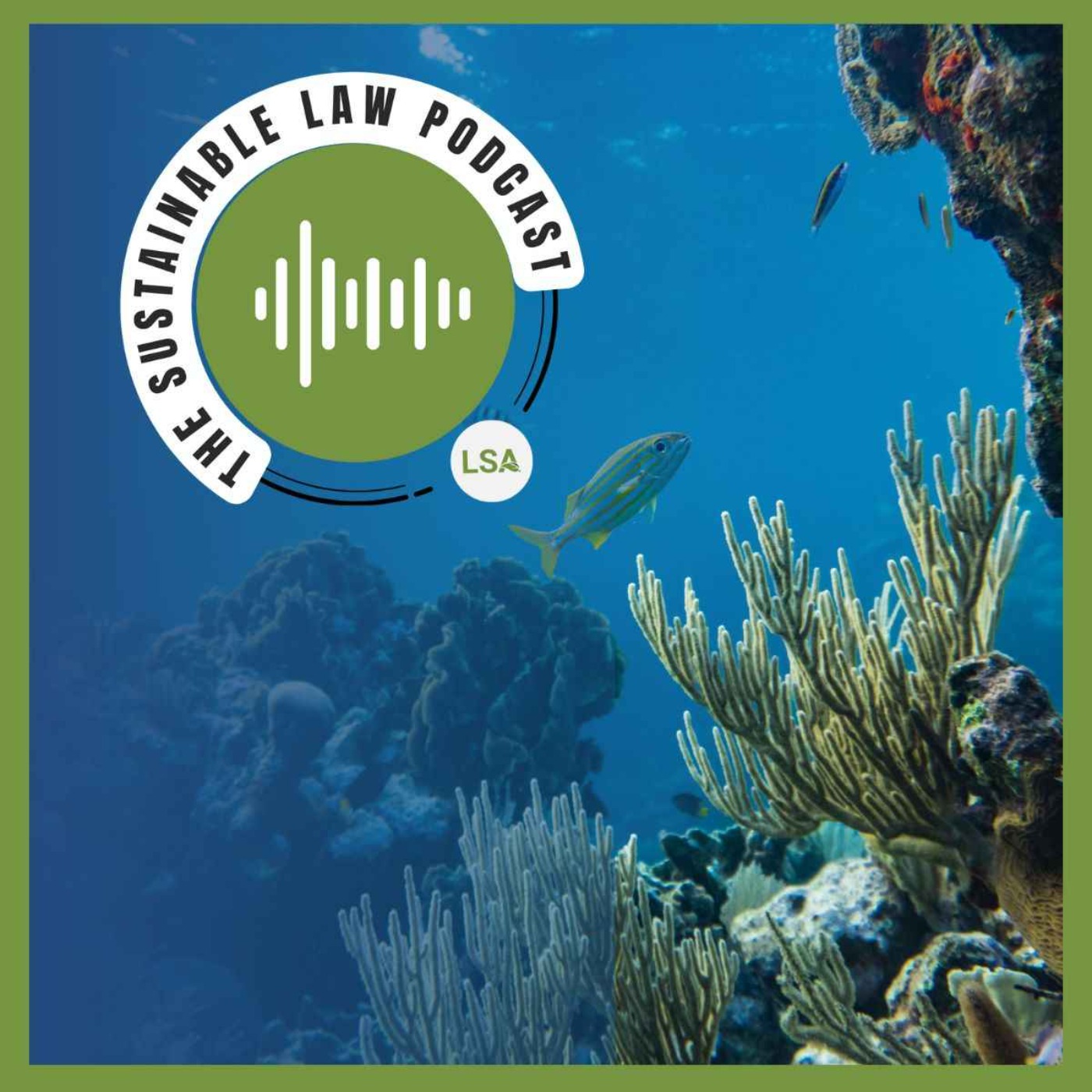 The Changing Face of Sustainability episode artwork