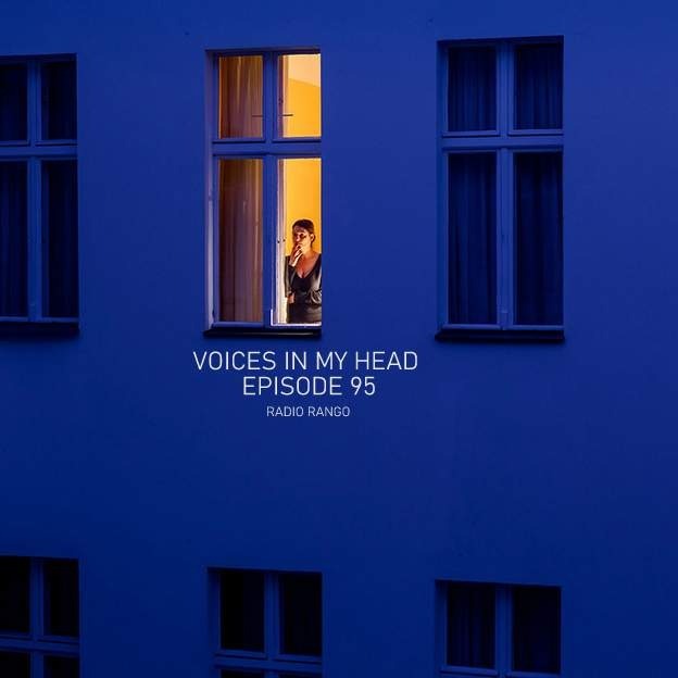 Voices In My Head_Episode 95 episode artwork