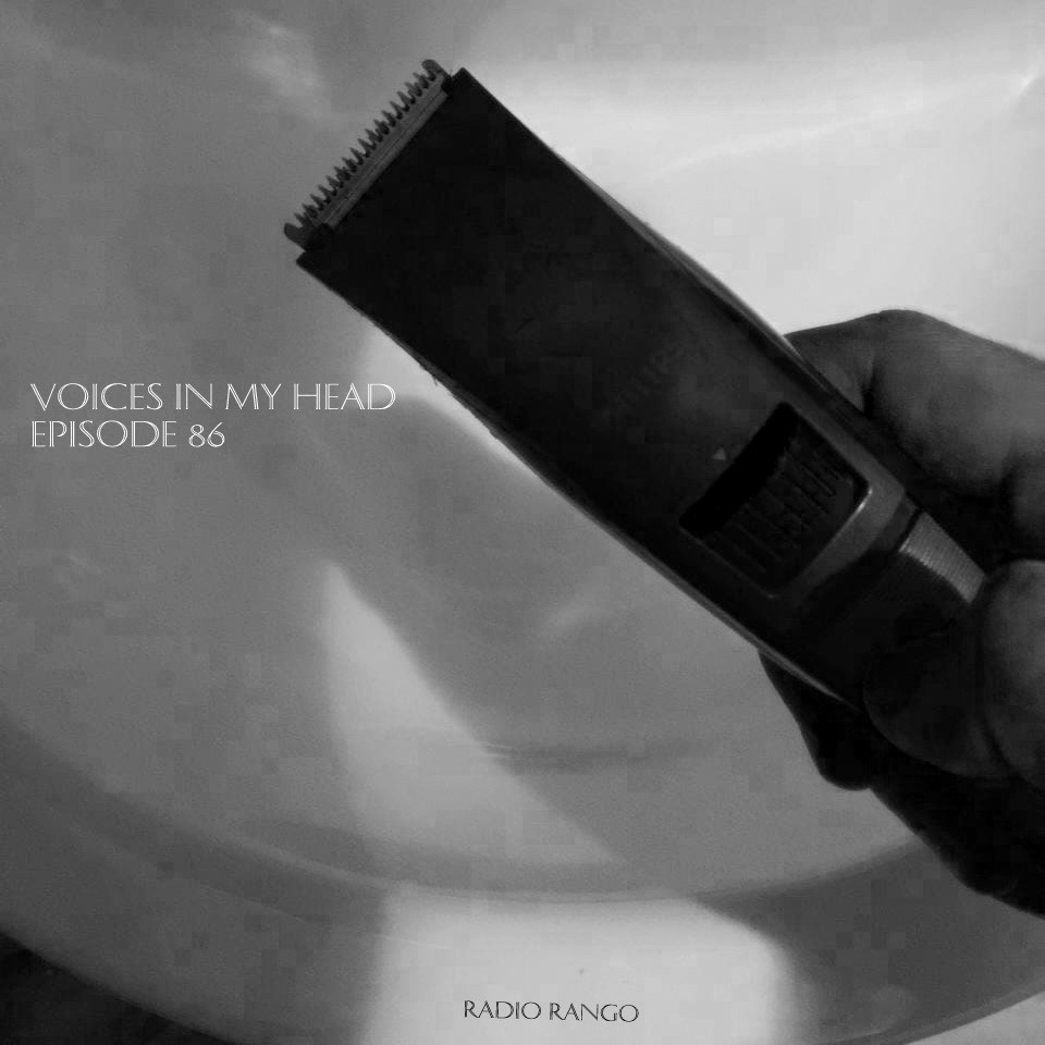 Voices In My Head _Episode 86 episode artwork