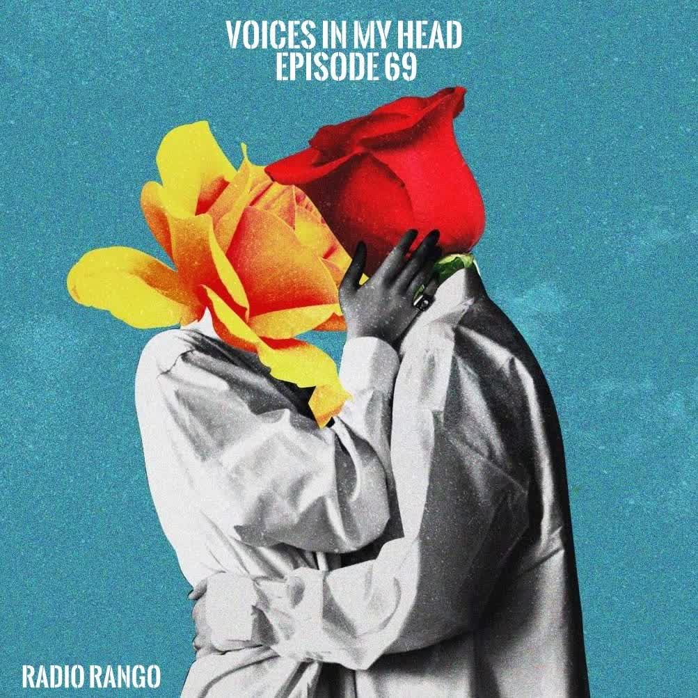Voices In My Head_ Episode 69 episode artwork