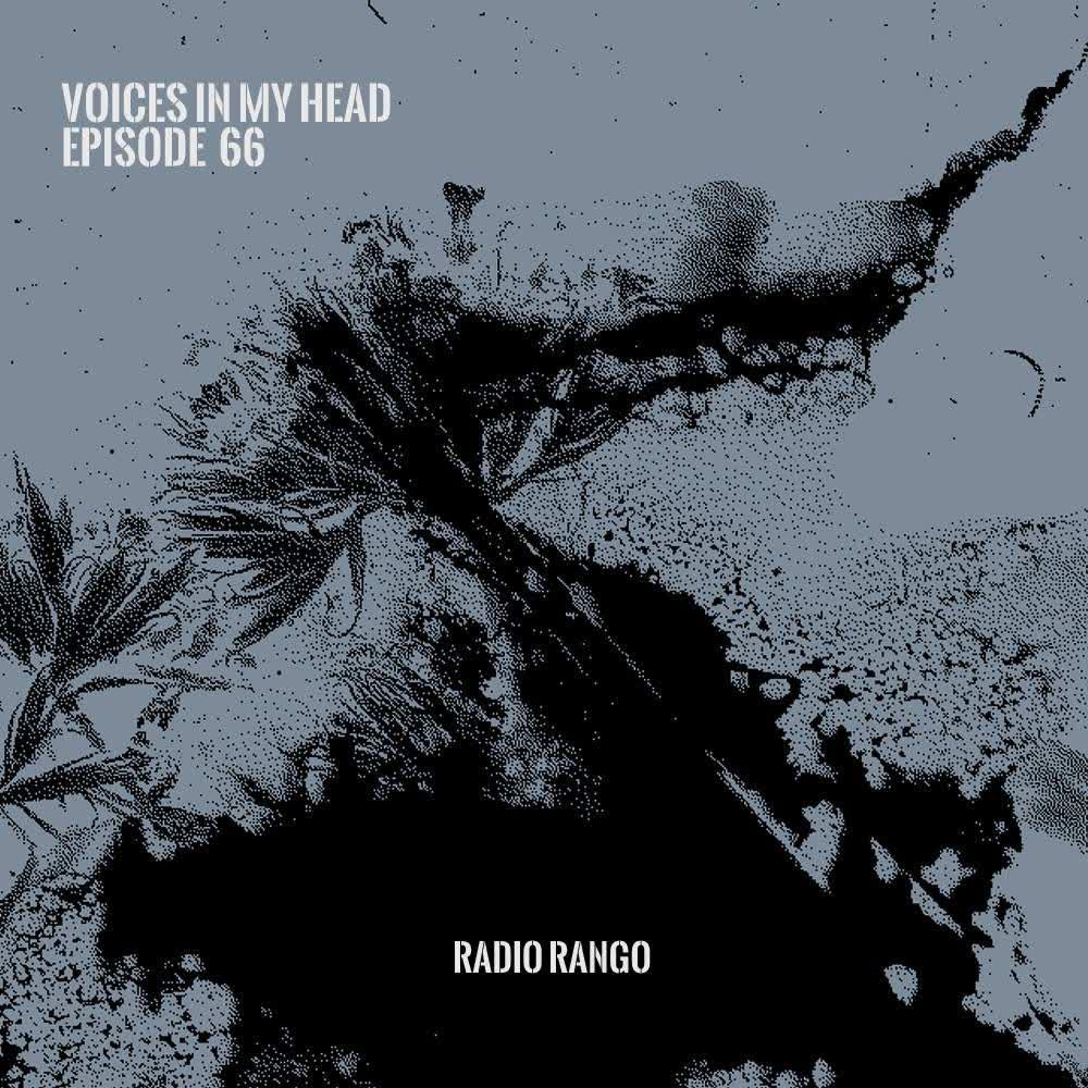Voices In My Head _ Episode 66 episode artwork