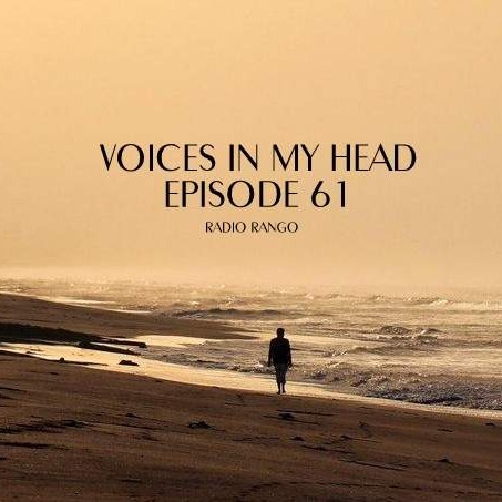Voices In My Head_Episode 61 episode artwork
