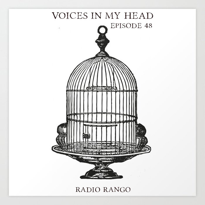 Voices In My Head_Episode  48 episode artwork