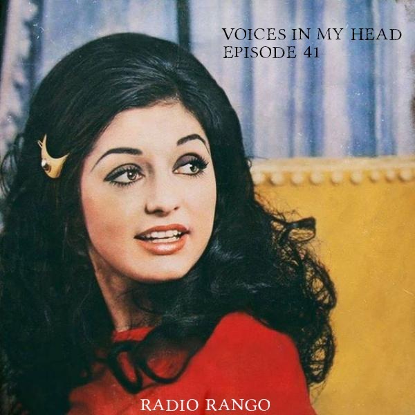 Voices In My Head_Episode 41 episode artwork