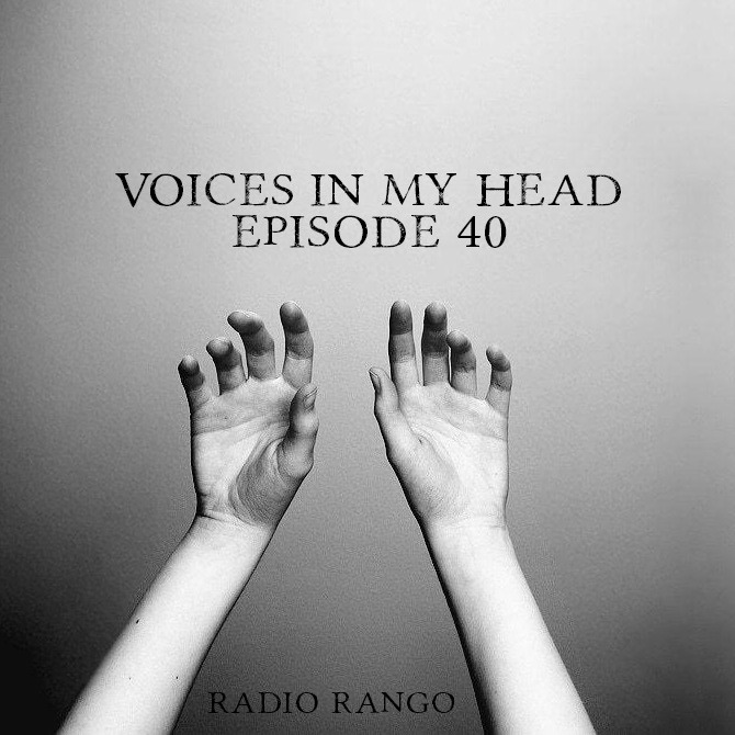 Voices In My Head_Episode 40 episode artwork