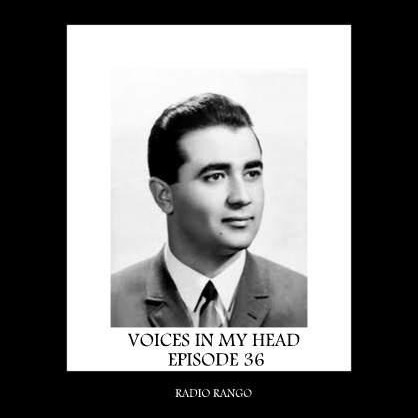 Voices In My Head_Episode 36 episode artwork