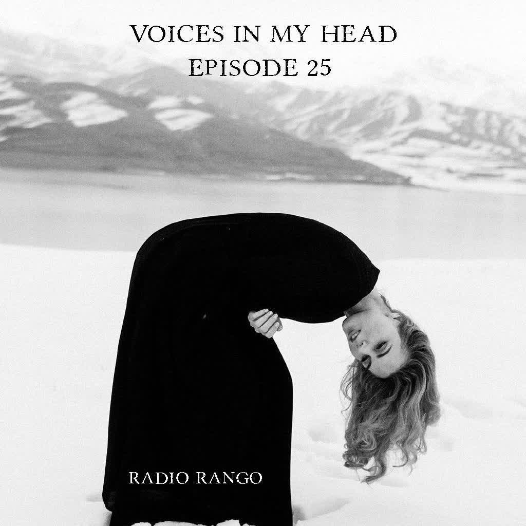 Voices In My Head _Episode 25 episode artwork