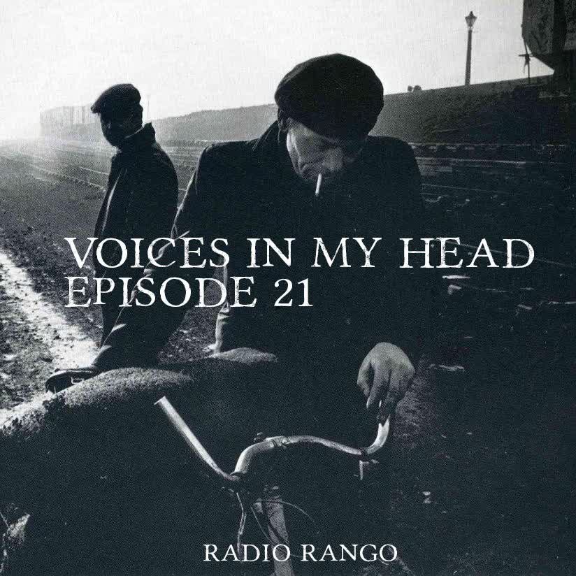 Voices In My Head_ Episode 21 episode artwork