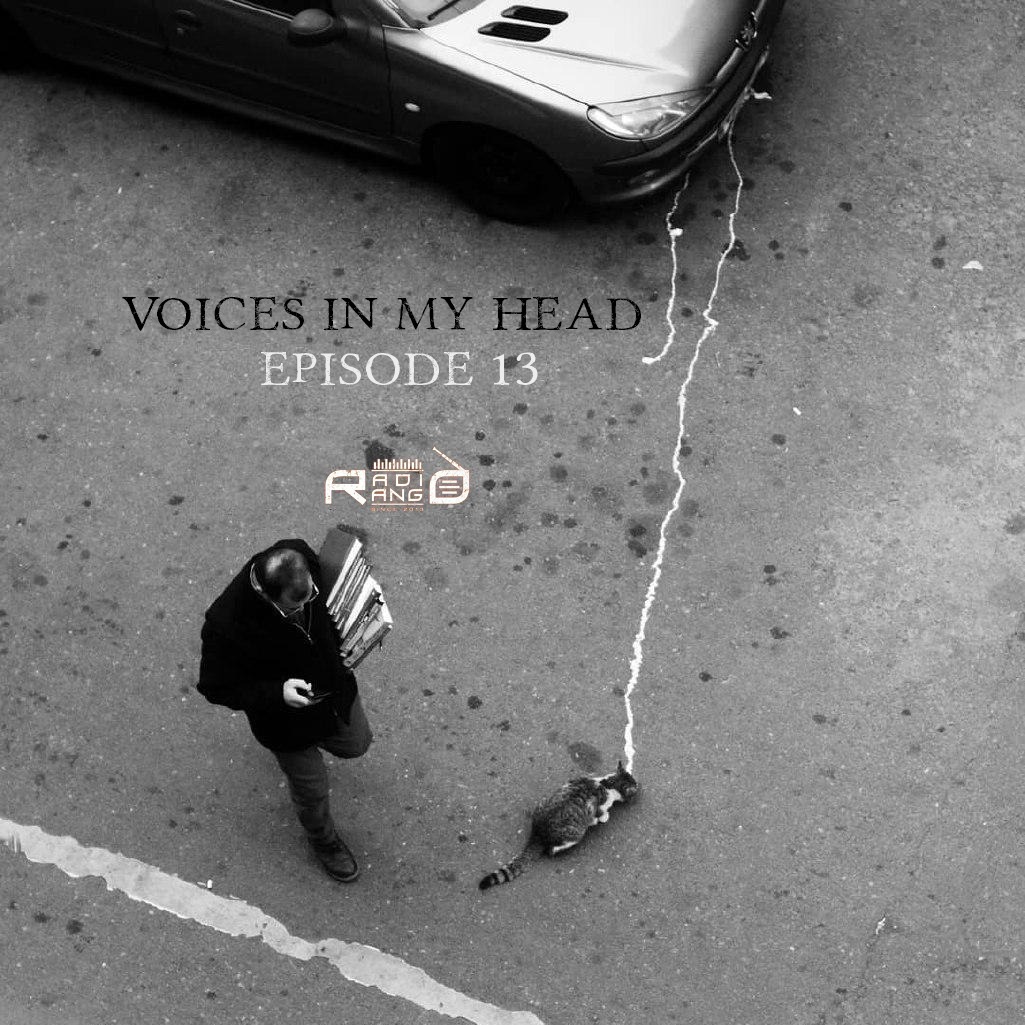 Voices In My Head_Episode 13 episode artwork