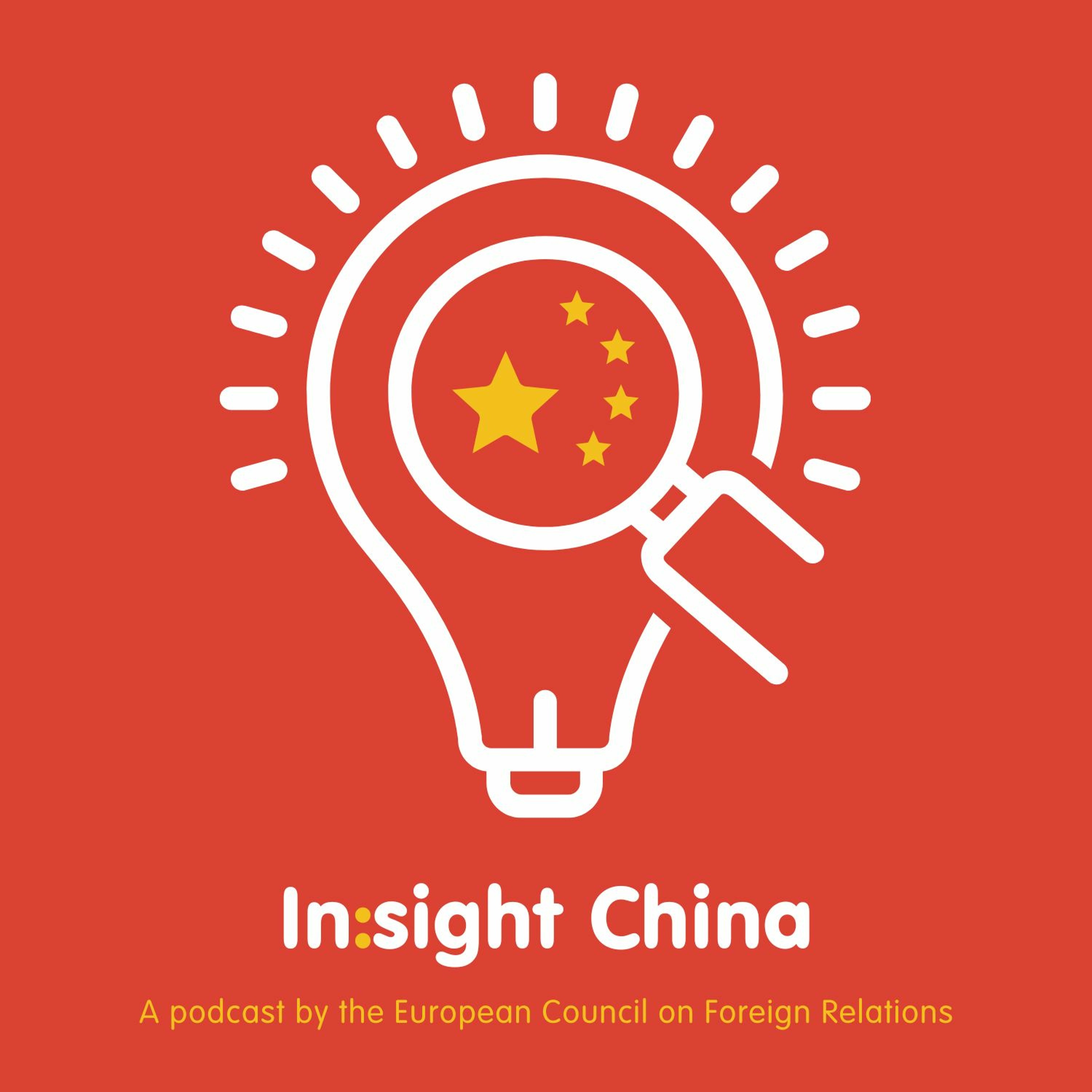 In:Sight China with with Wang Dong