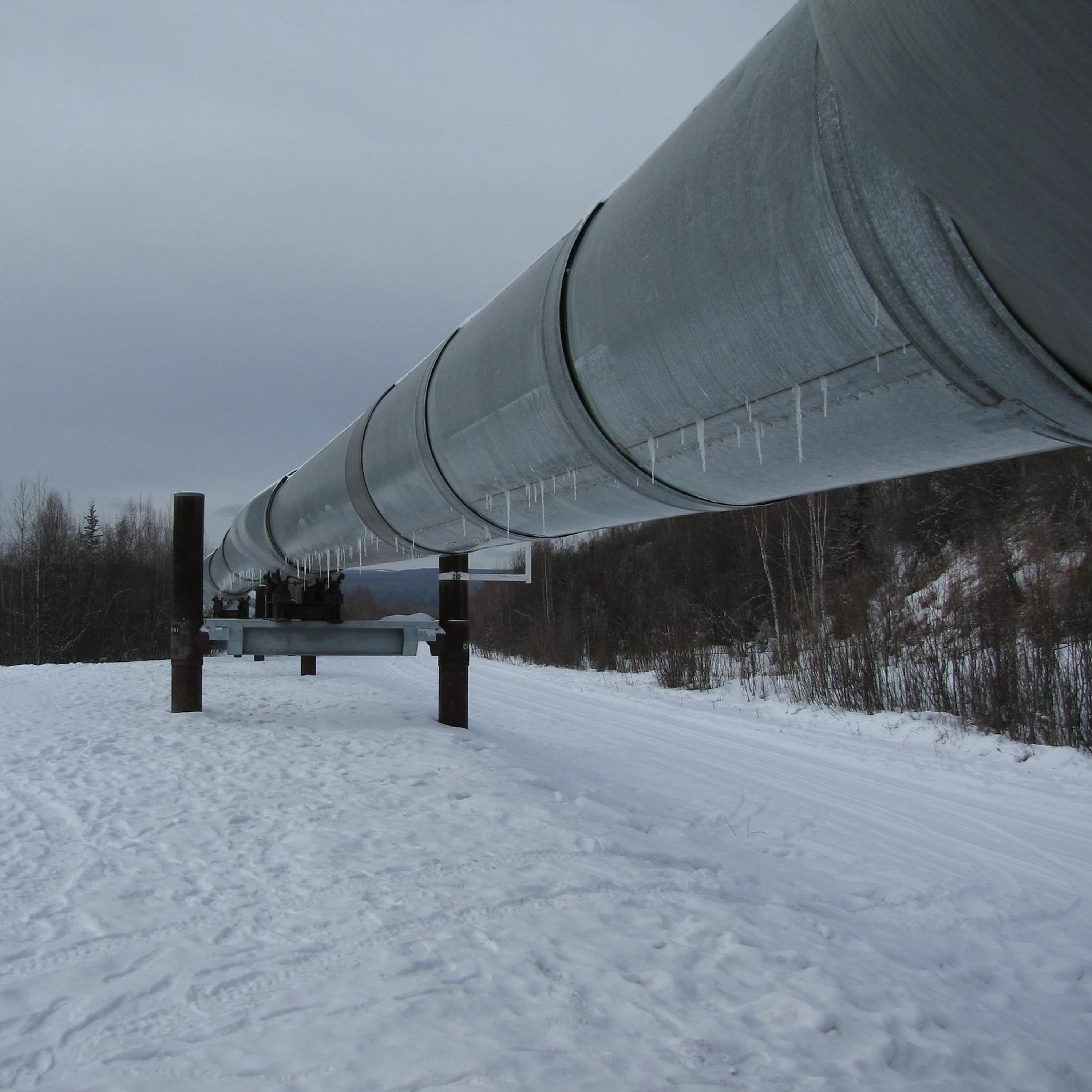 Winter is coming: Europe’s energy transition and the war in Ukraine