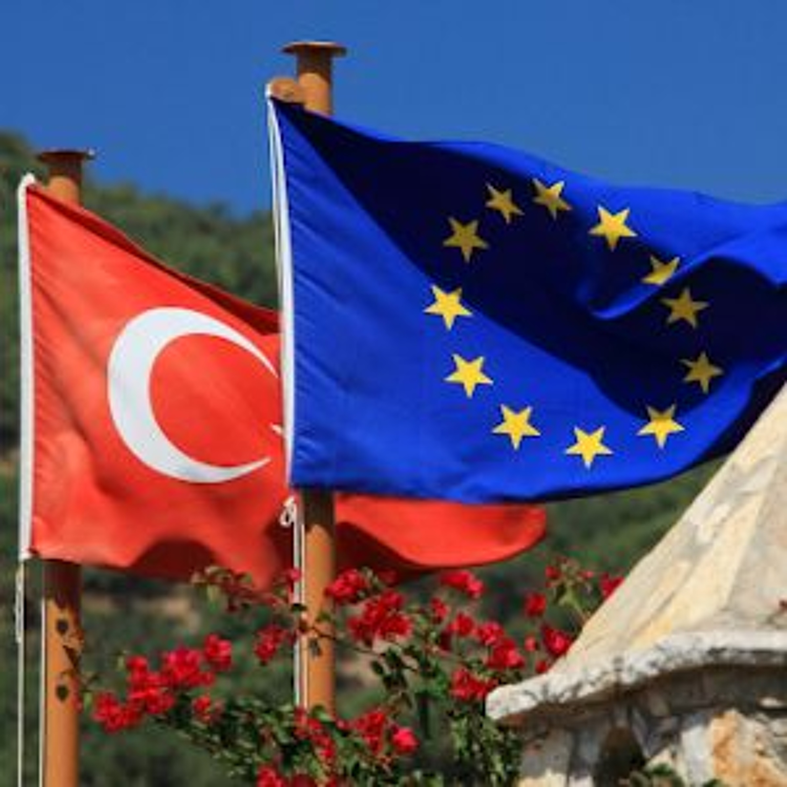 Many elephants in the room: the EU and the Turkey, Syria, coronavirus and refugee crises