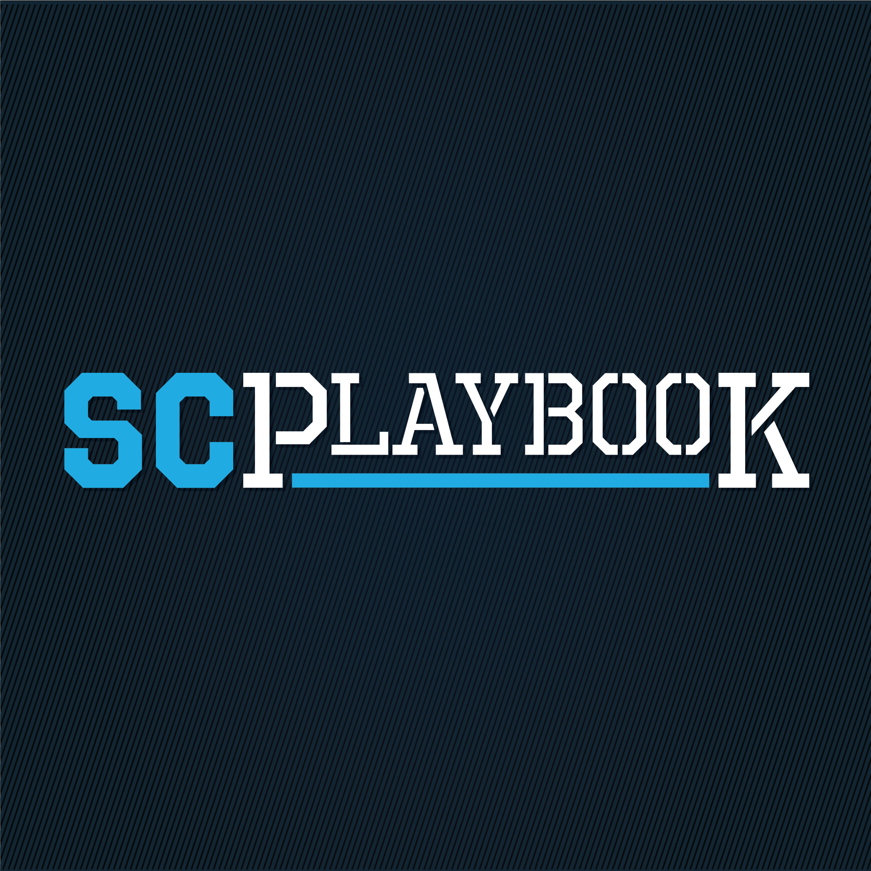 Episode 13: SC Playbook podcast