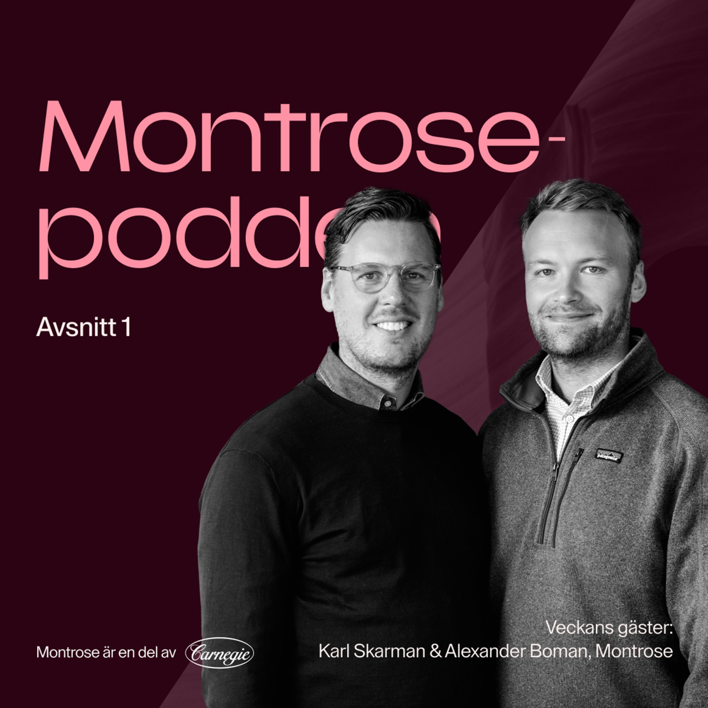 Montrosepodden