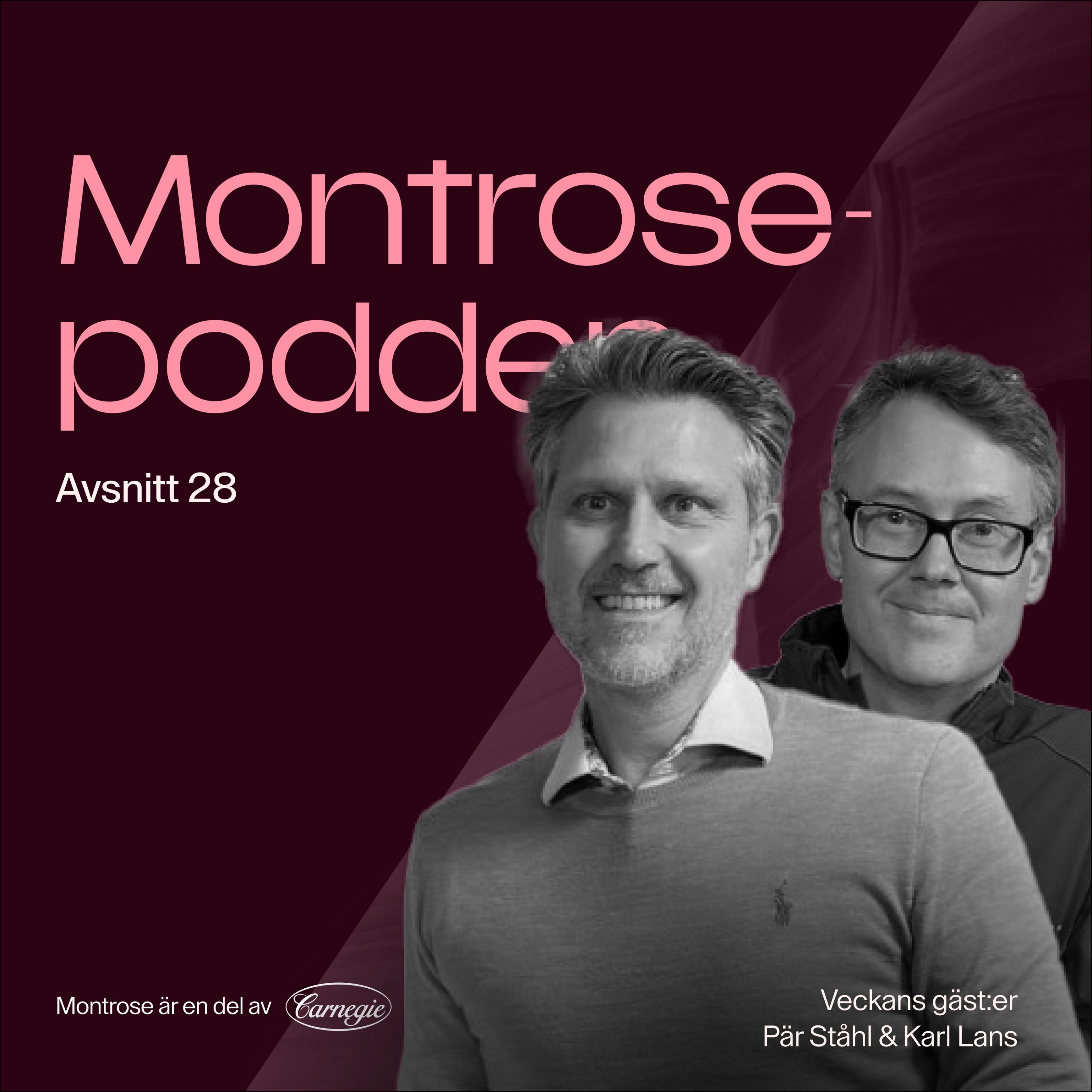 Montrosepodden