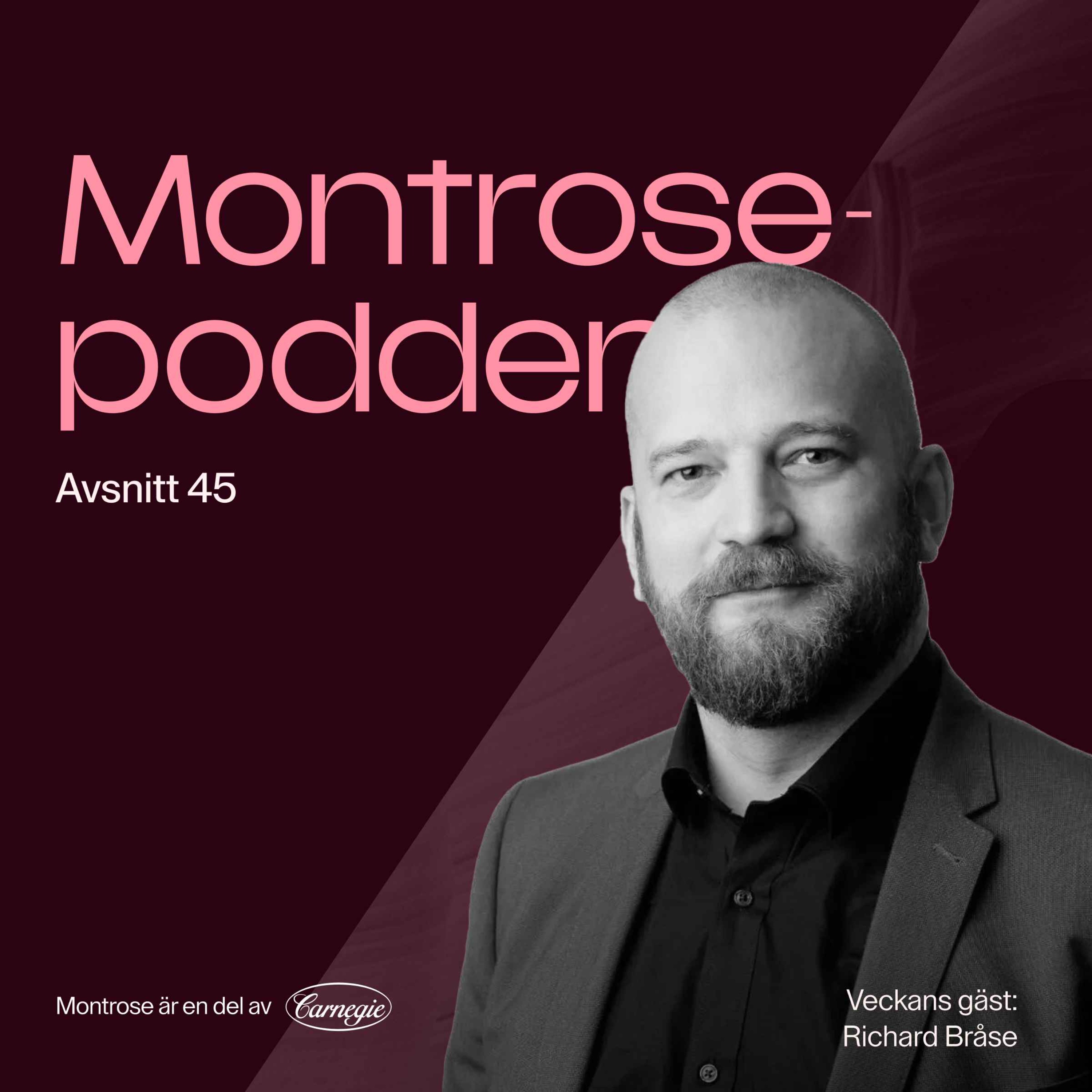 #45 - Richard Bråse: mannen som kan viska med årsredovisningar sadlar om till fondförvaltare av Protean Aktiesparfond Norden