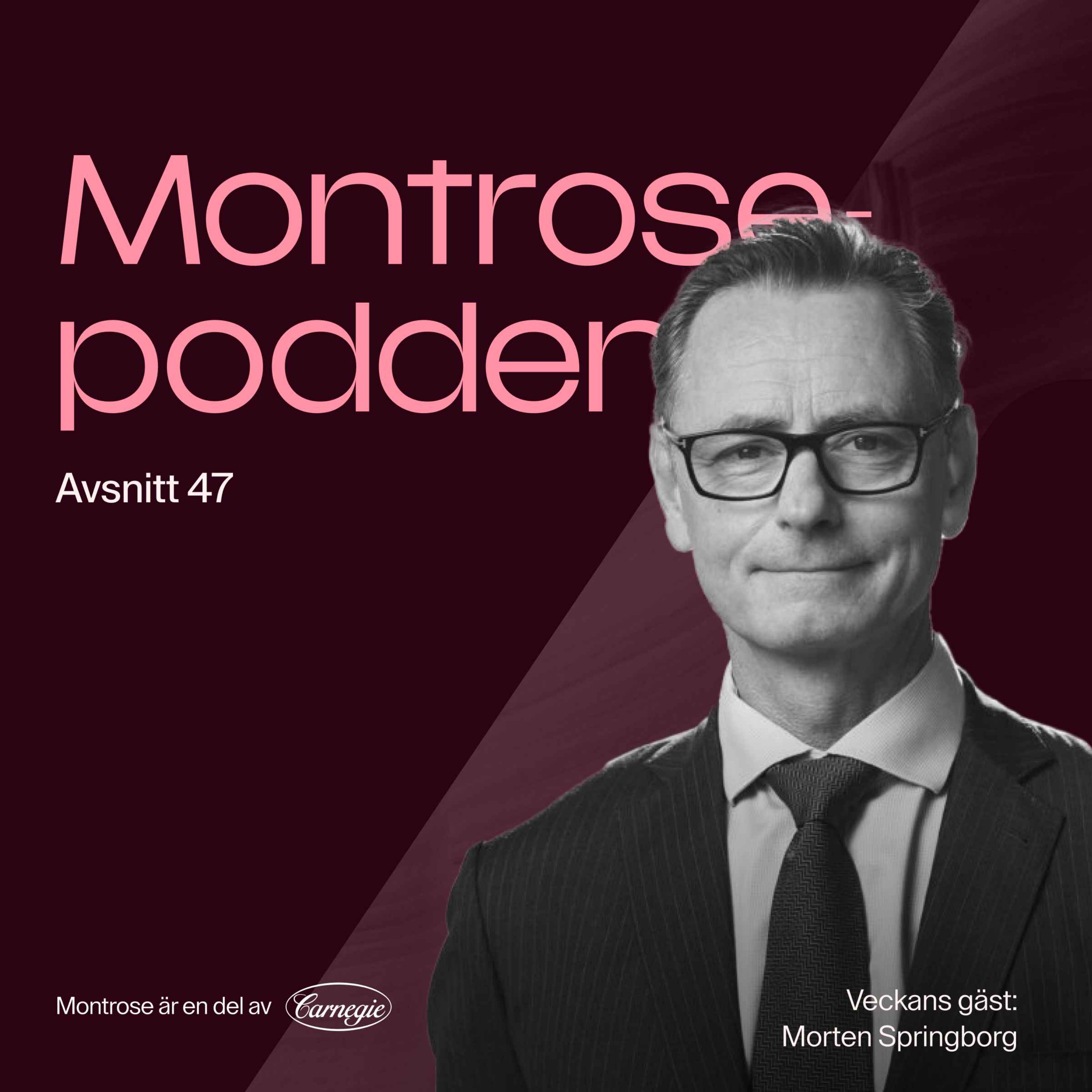 #47 - Morten Springborg: hotet mot US Exceptionalism och vad det innebär för passiva indexflöden!