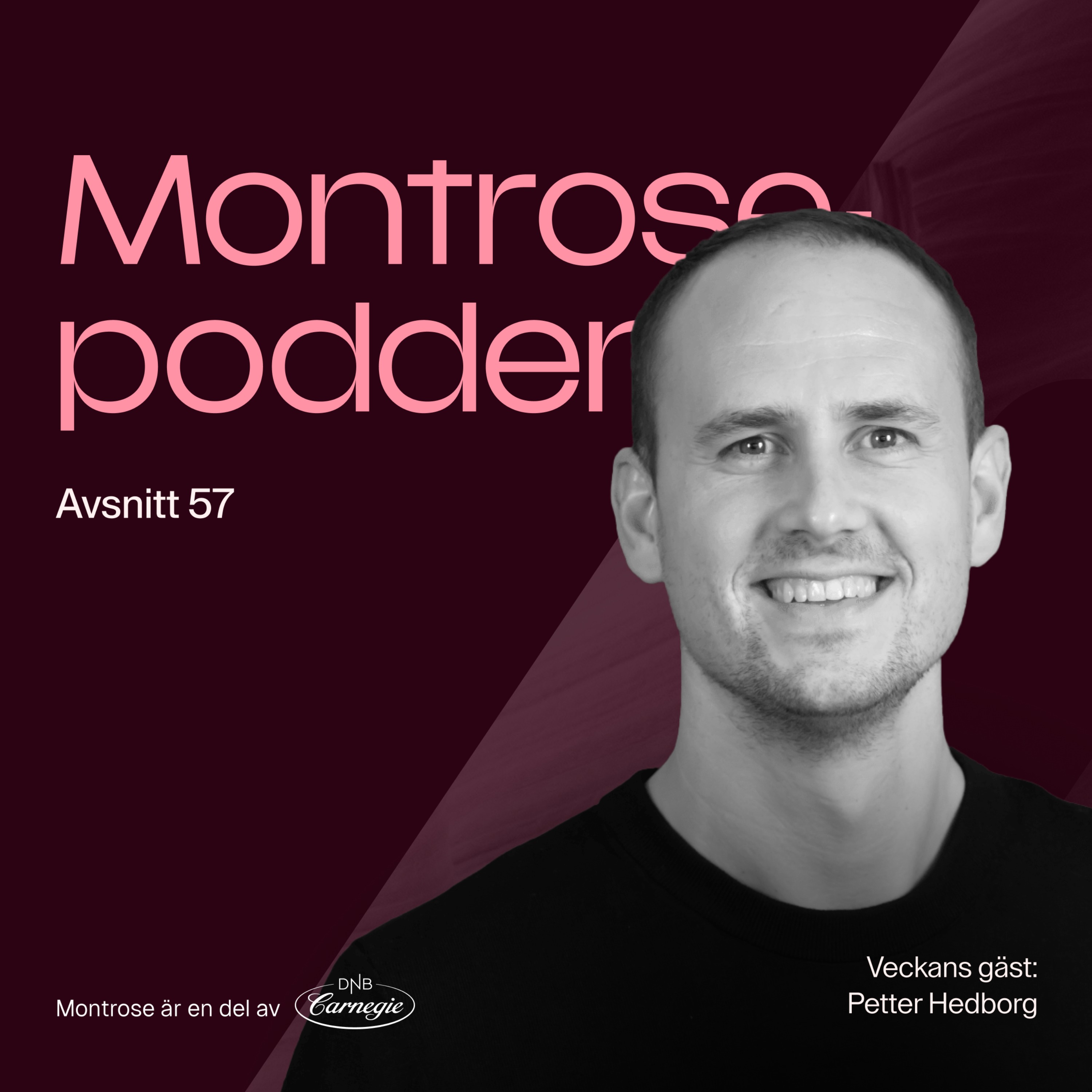 Montrosepodden