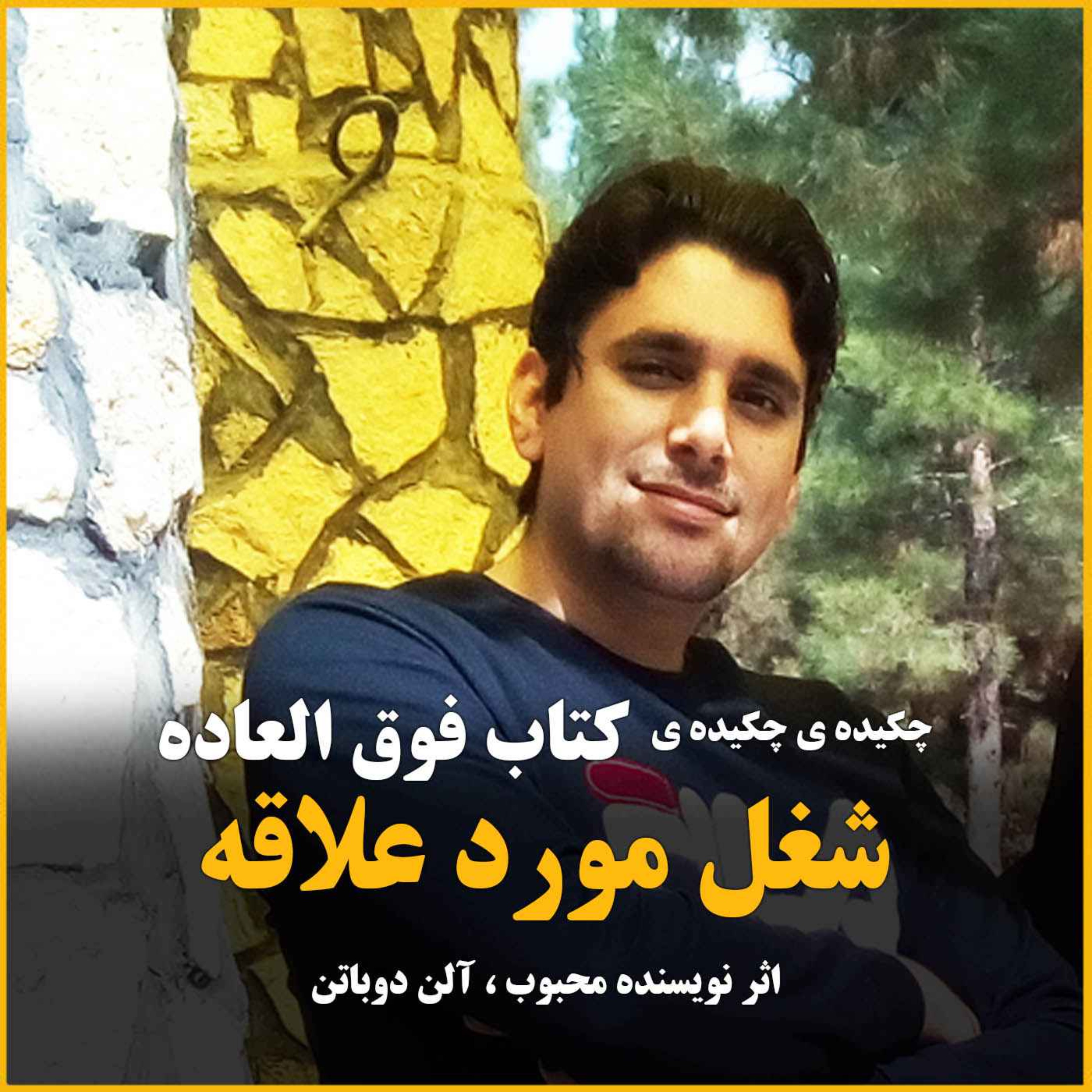 چکیده ی کتاب شغل مورد علاقه، اثر بی نظیری از آلن دوباتن