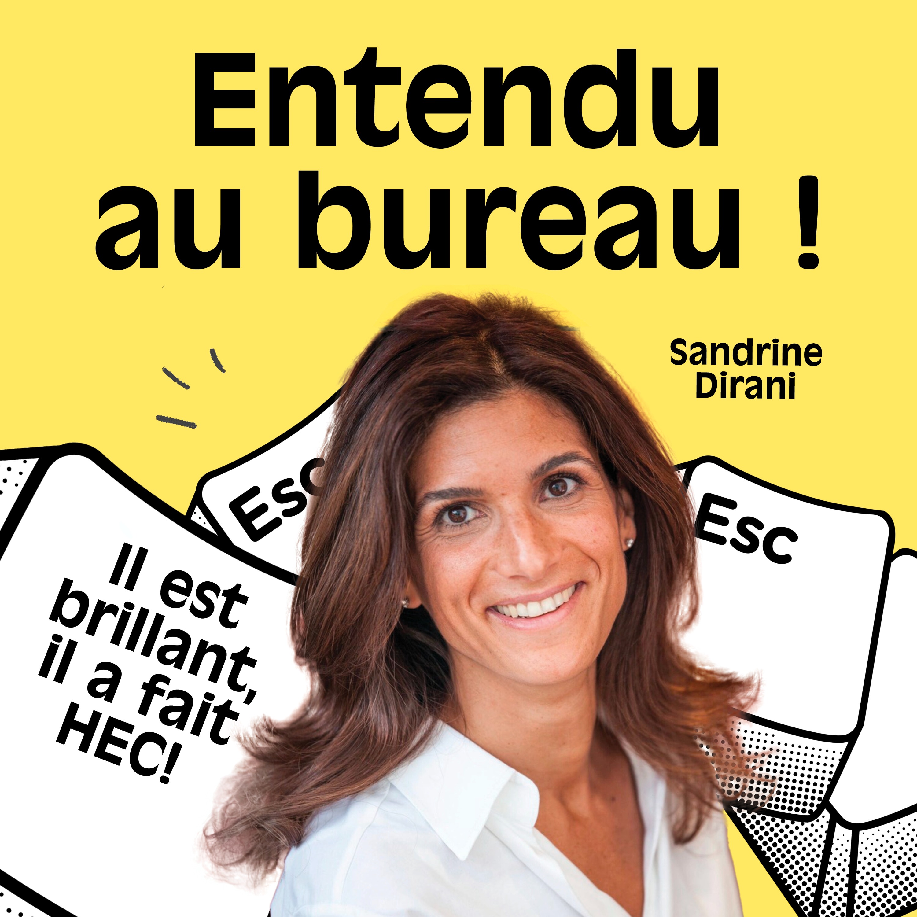 IL EST BRILLANT, IL A FAIT HEC ! episode artwork
