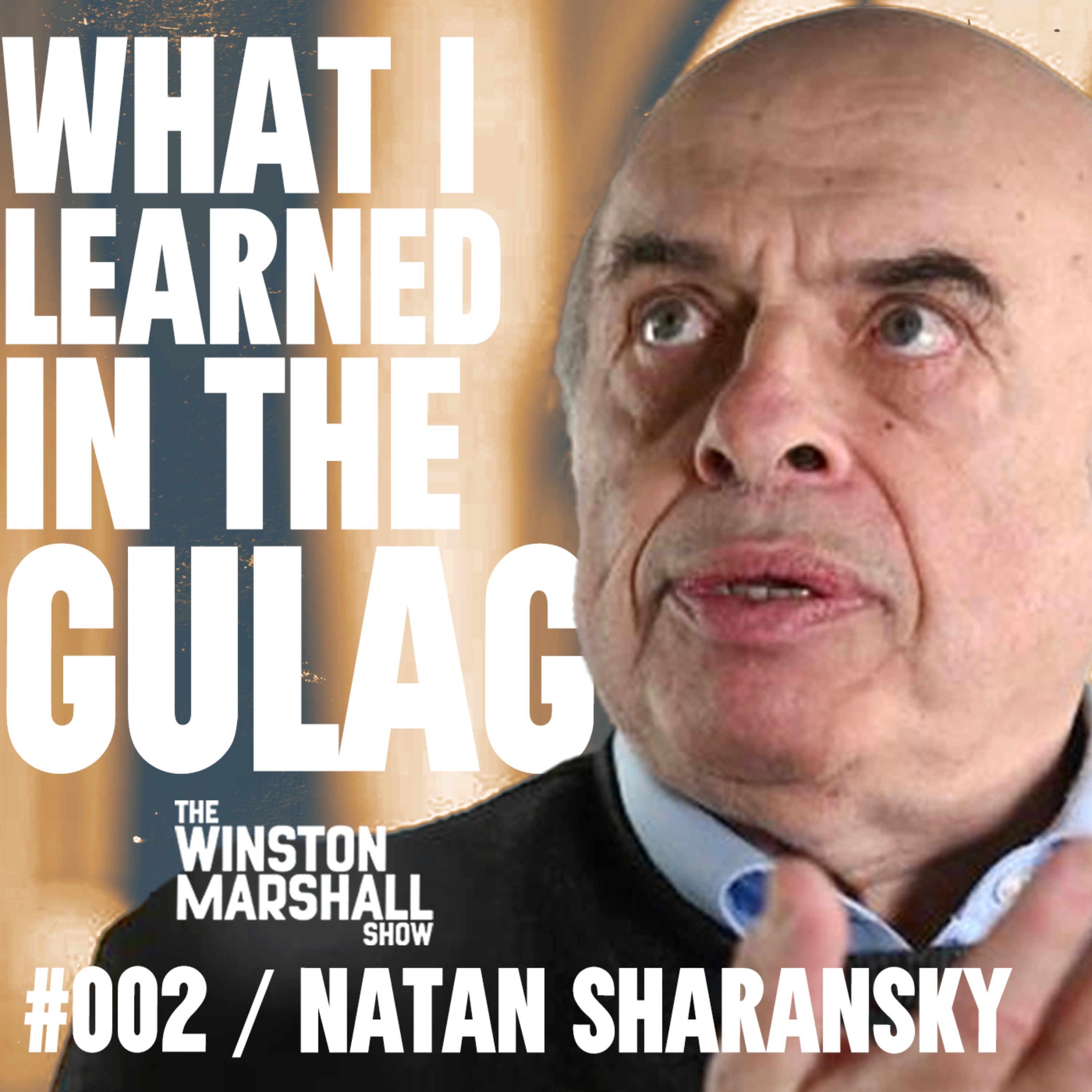 Natan Sharansky - Antisemitism Is A Progressive Problem
