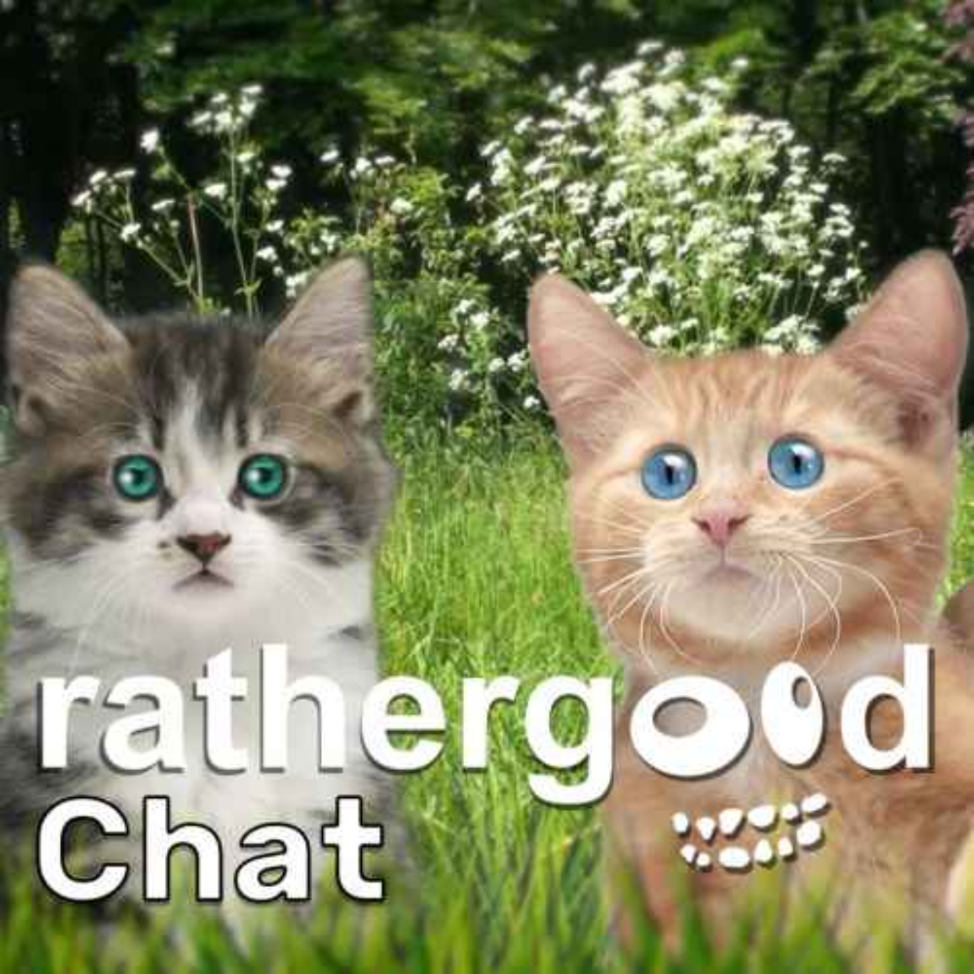 55: Methods Of Communication