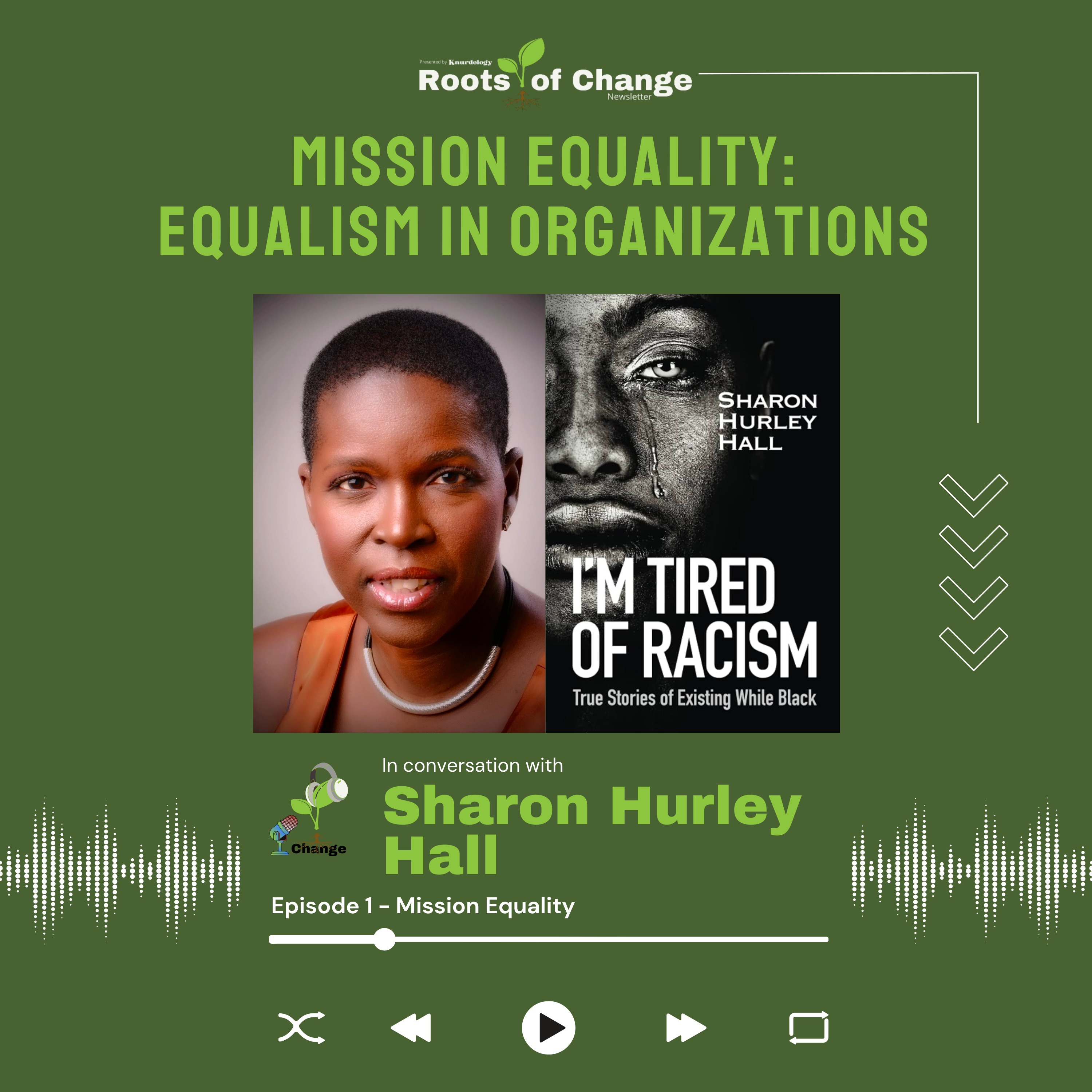cover art for Mission Equality | Practicing Equalism in Organizations