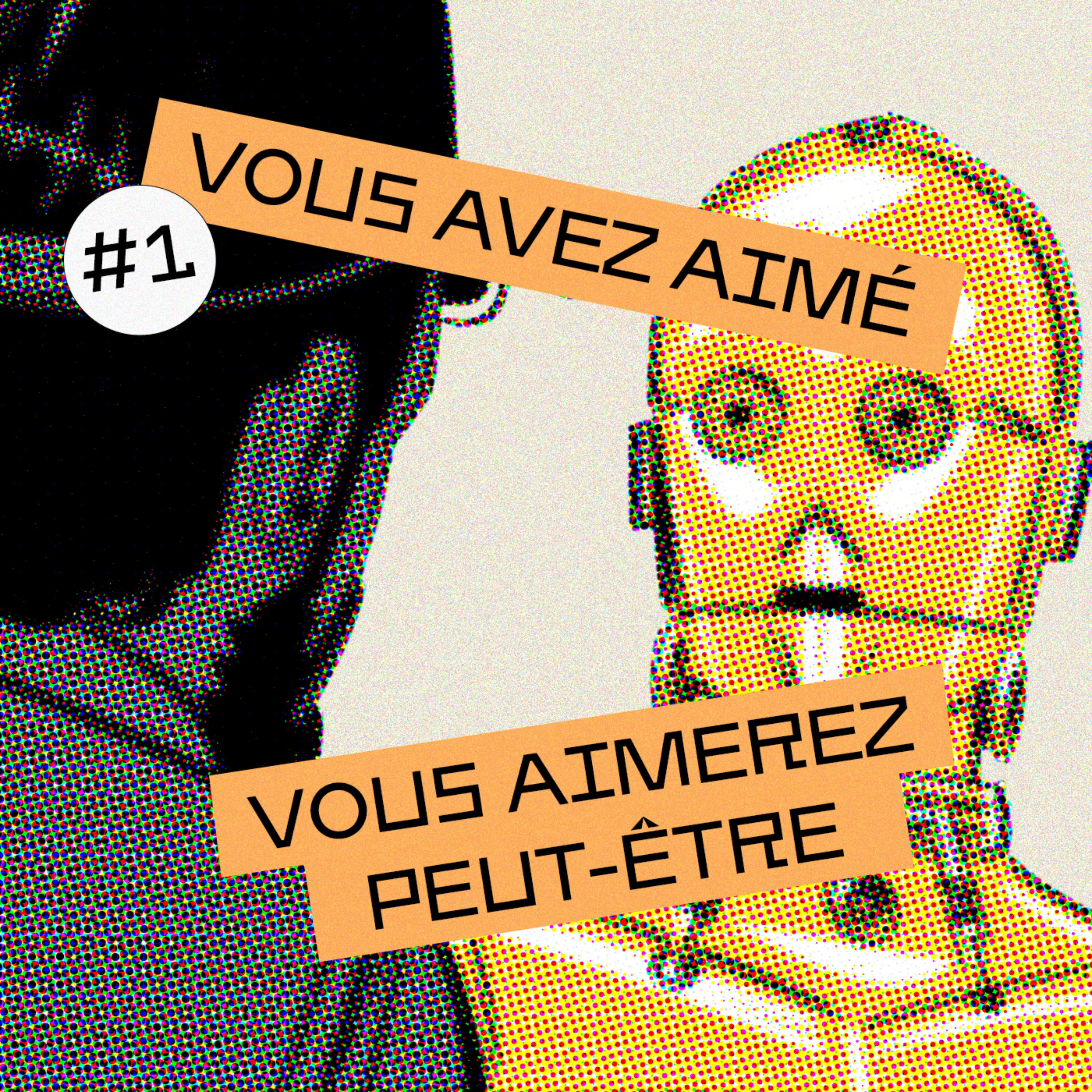 Vous avez aimé... ?