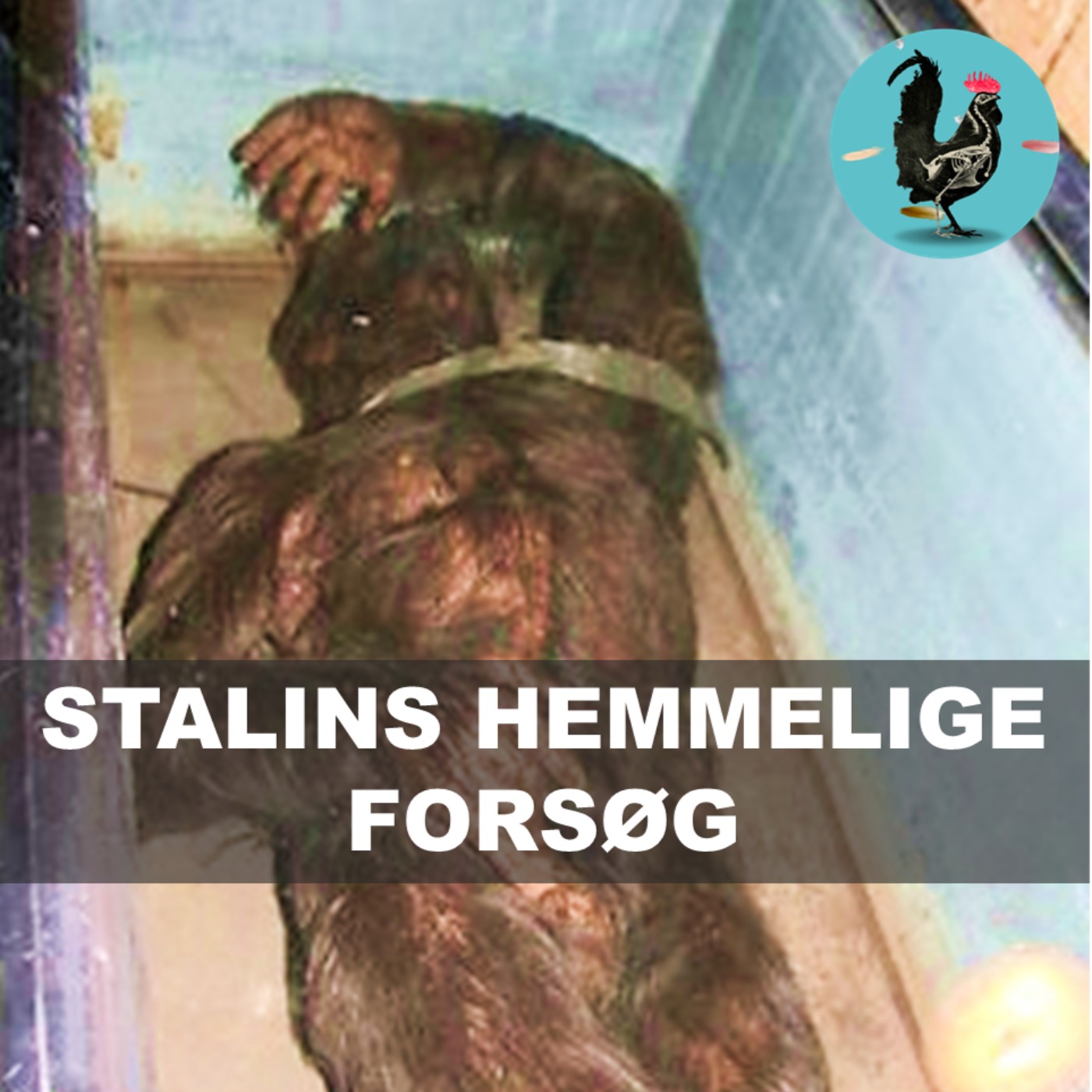 #257: Lavede russerne menneske-abe hybrider? #257: Lavede russerne menneske-abe hybrider?