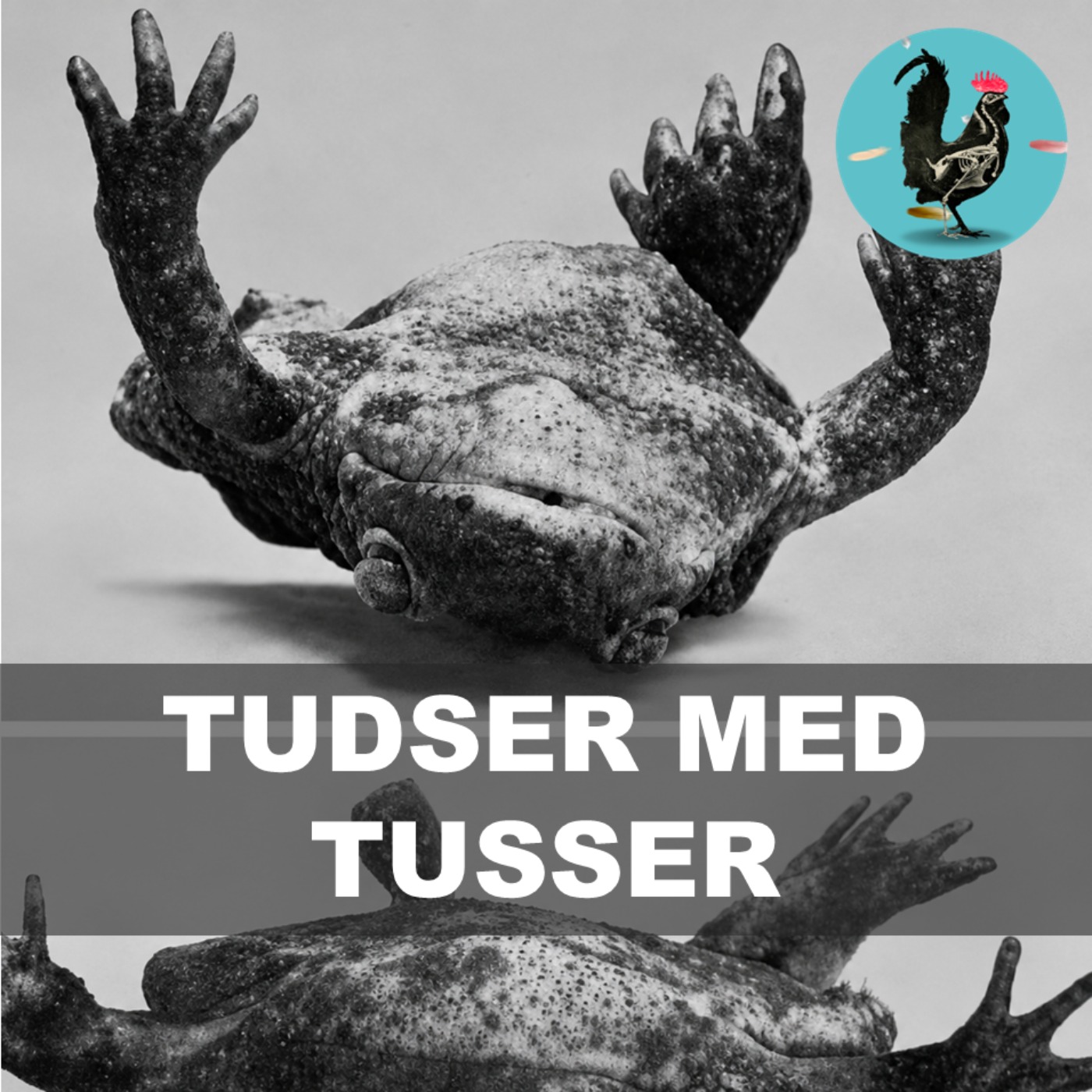 #268: Han tatoverede frøer for at modbevise evolution episode artwork