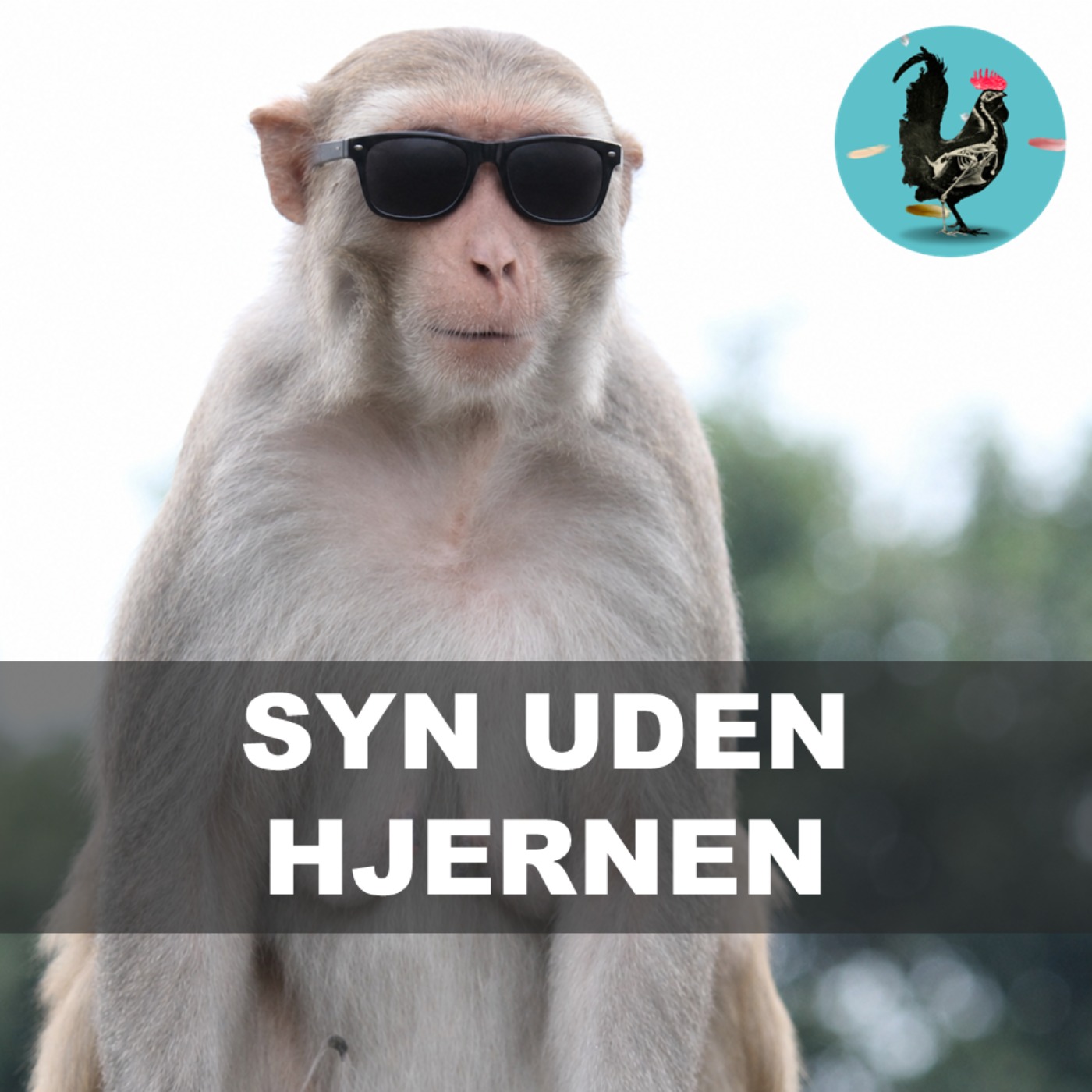 #269: Sommersjov med Mark 2: Blinde aber der ser