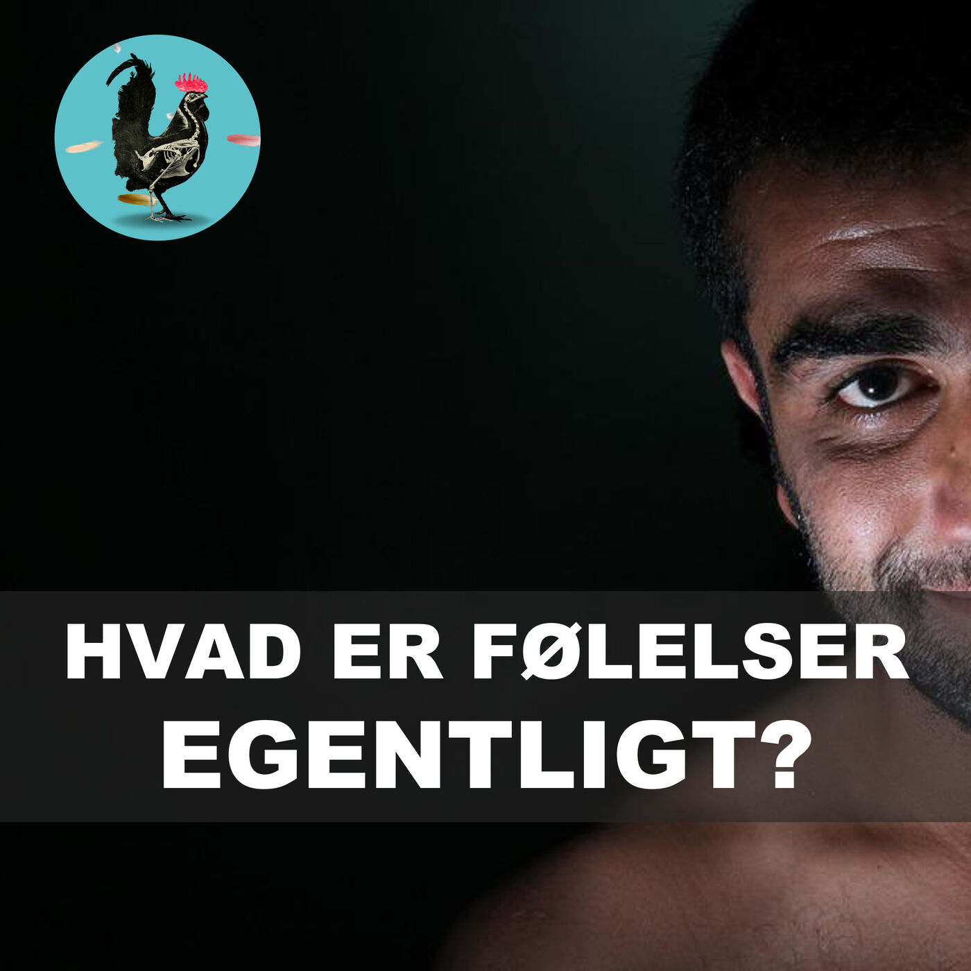 Videnskabeligt Udfordret