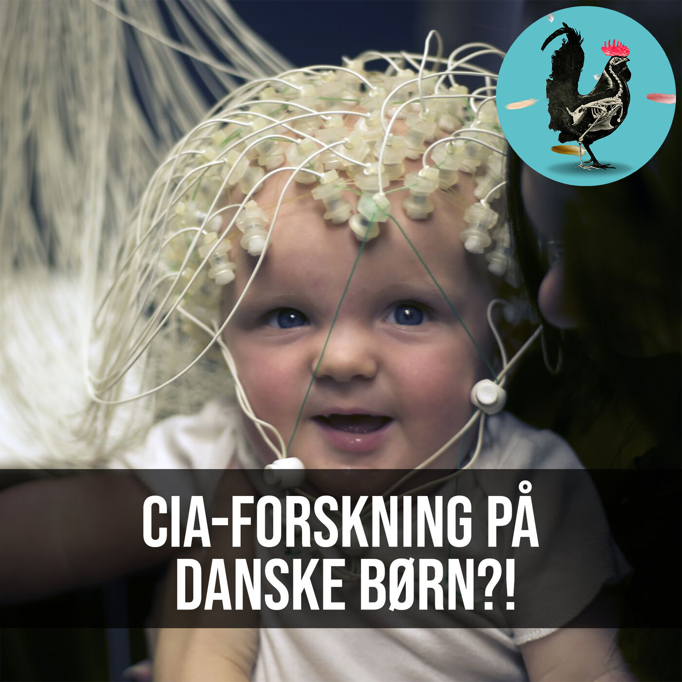 Videnskabeligt Udfordret