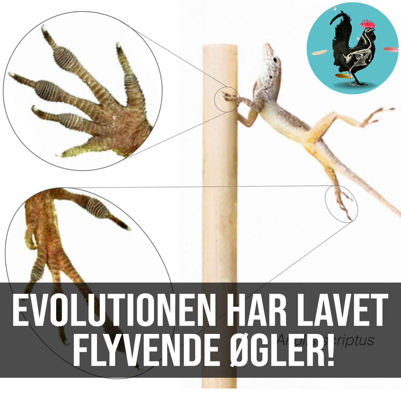 Videnskabeligt Udfordret