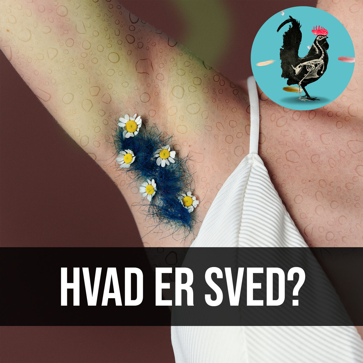 Videnskabeligt Udfordret