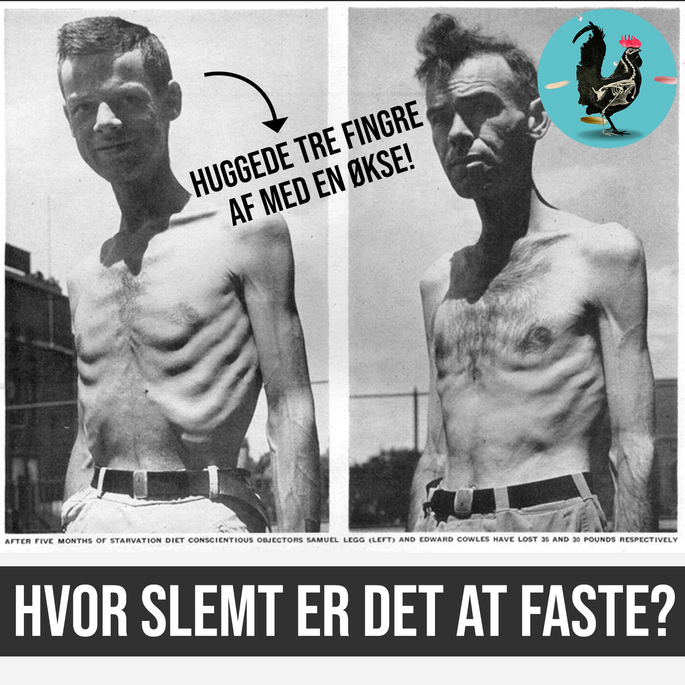Videnskabeligt Udfordret