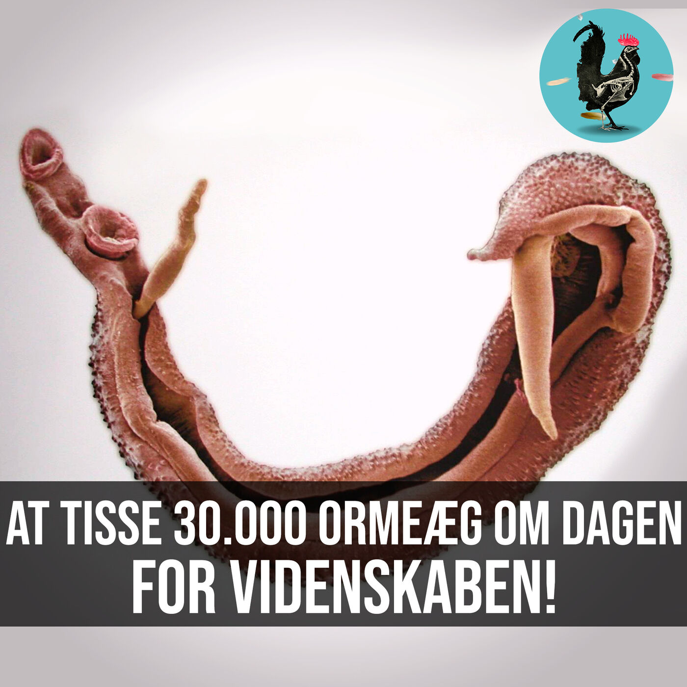 Videnskabeligt Udfordret