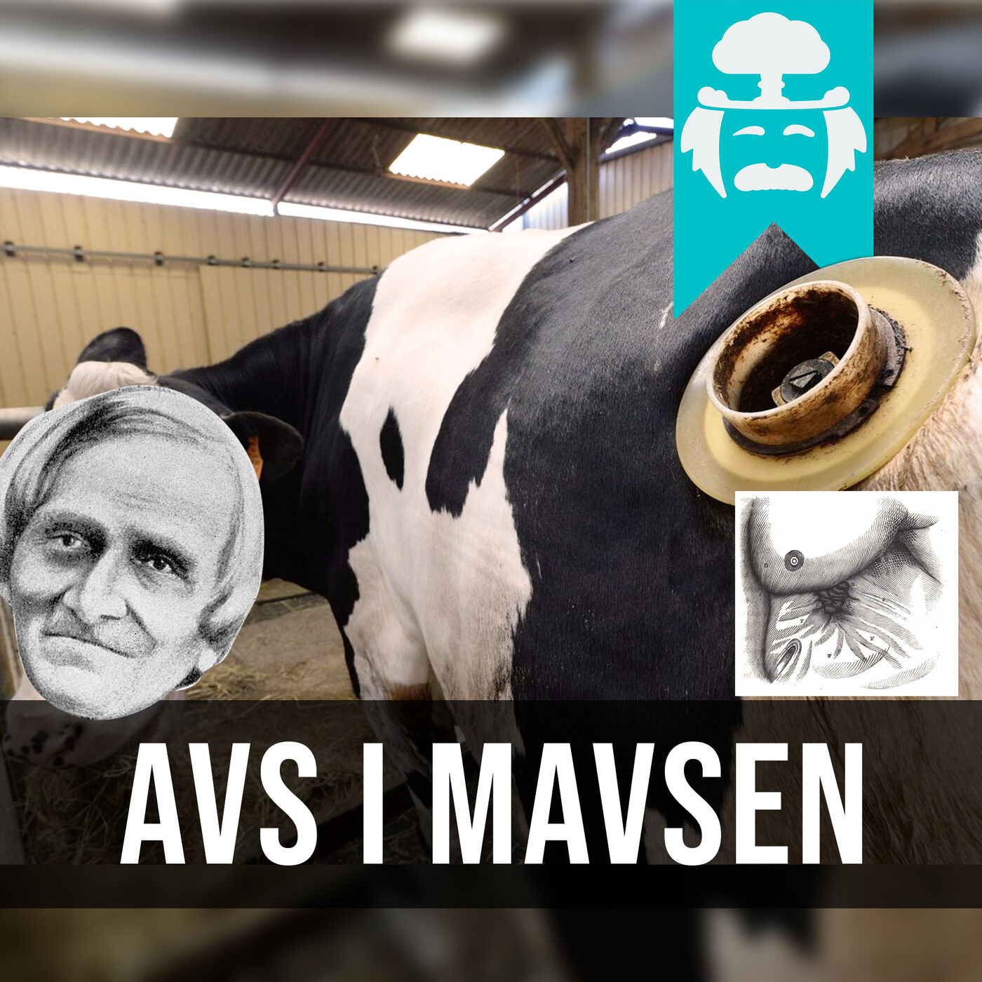 Videnskabeligt Udfordret