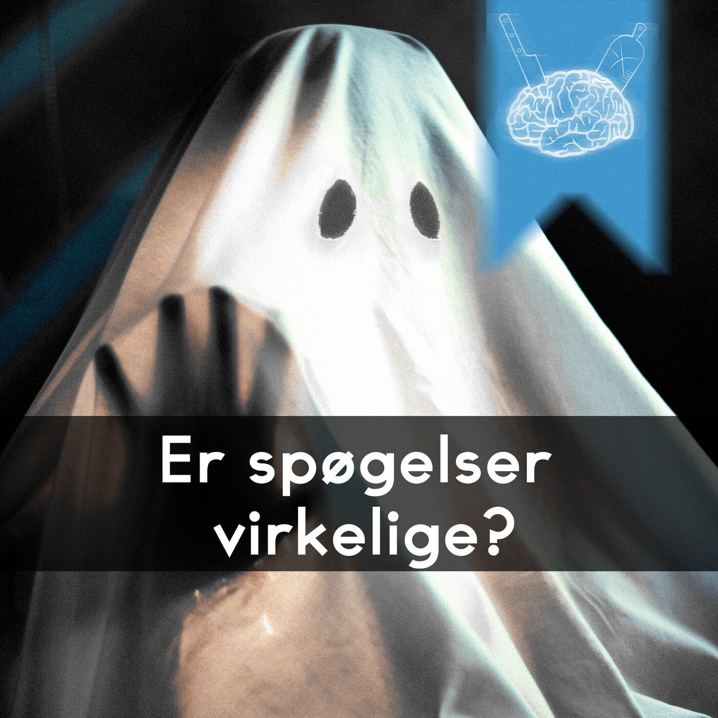 Videnskabeligt Udfordret
