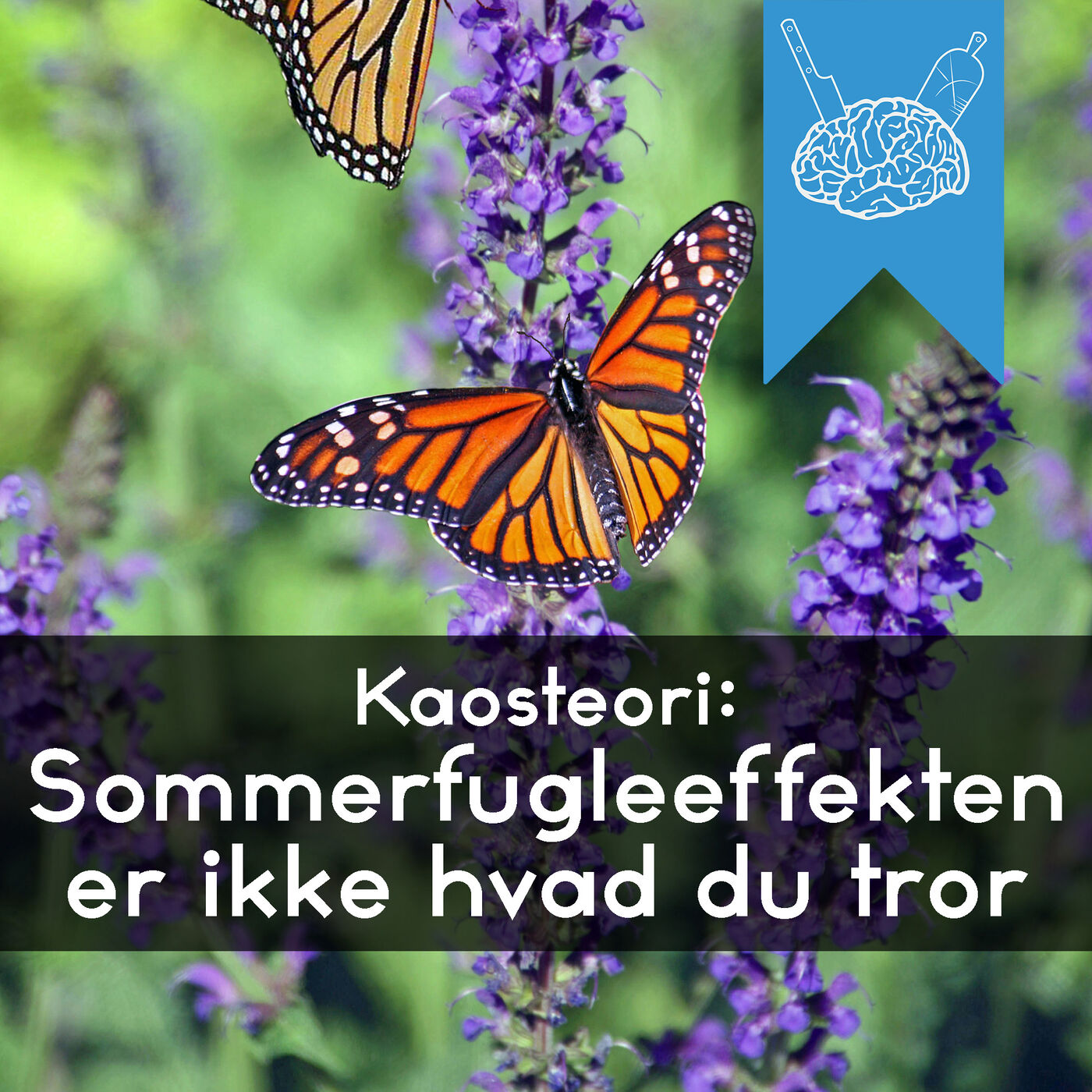 Videnskabeligt Udfordret