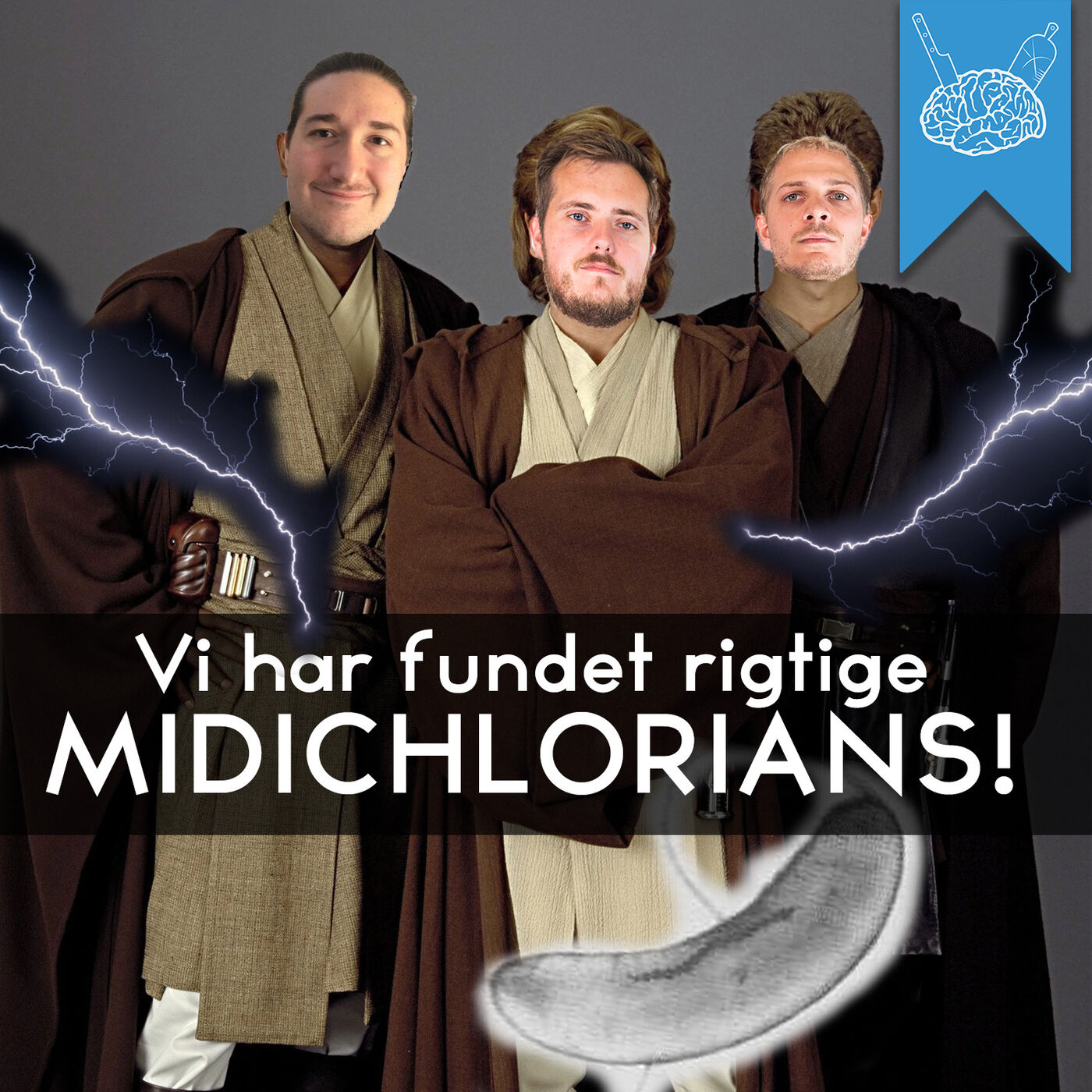Videnskabeligt Udfordret