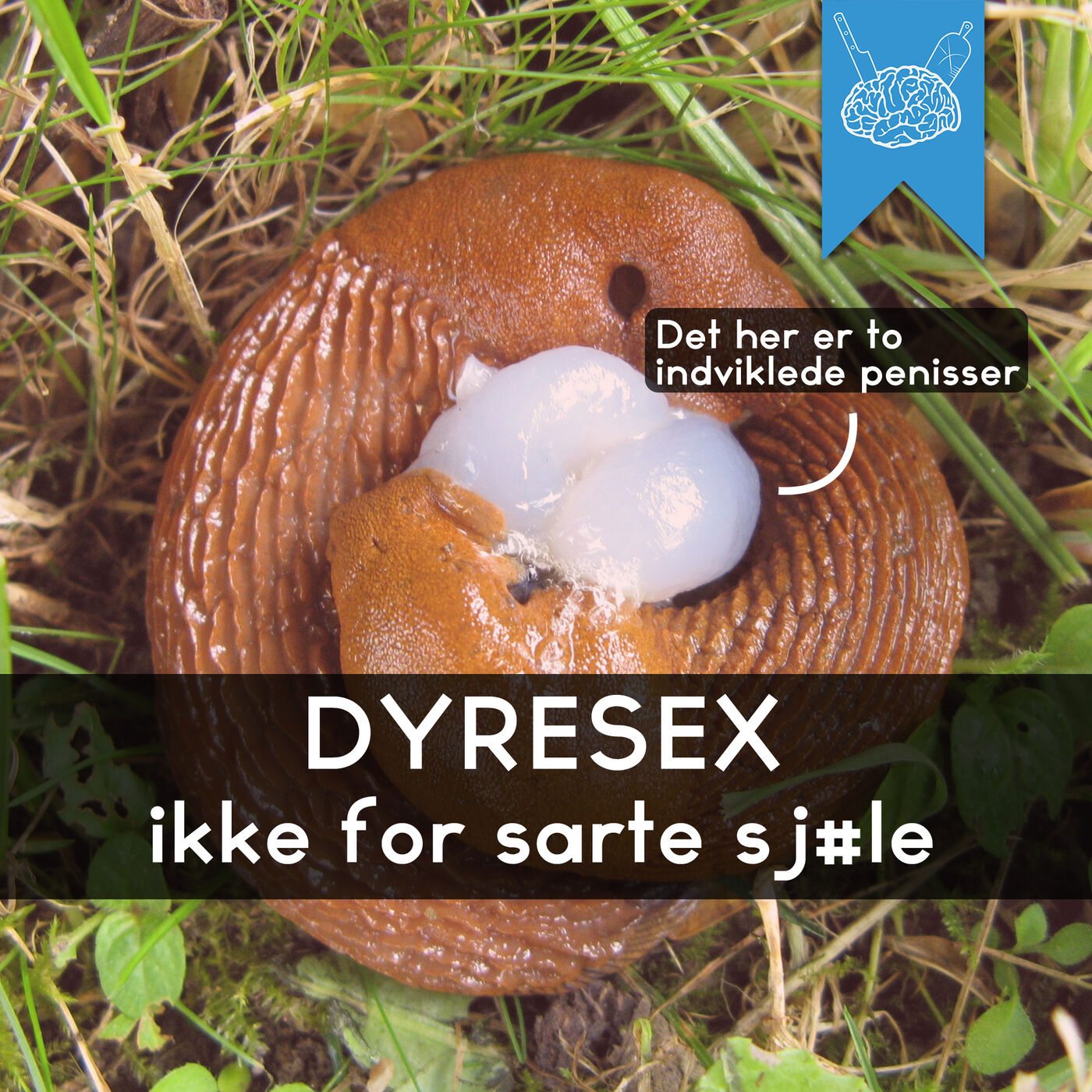 cover art for #3.46: Dyresex det er fedt