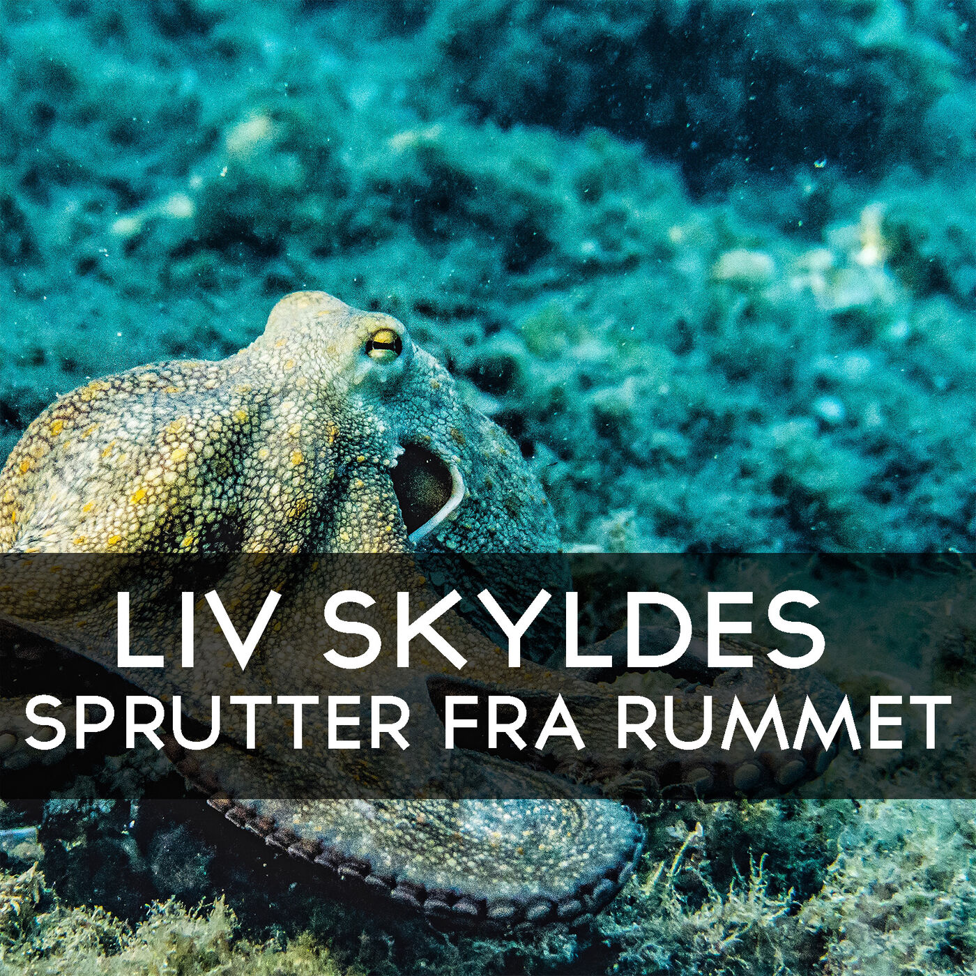 Videnskabeligt Udfordret