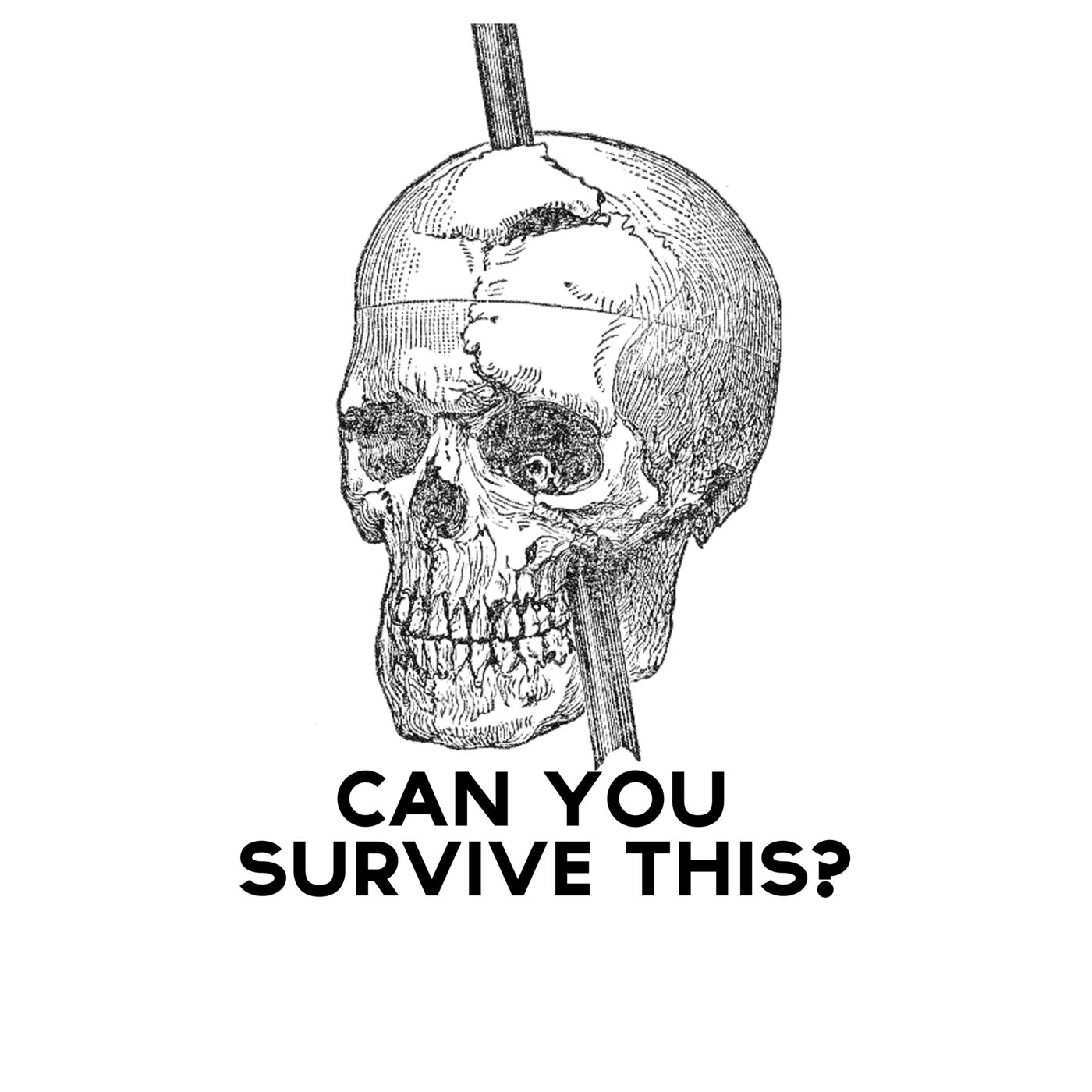 Videnskabeligt Udfordret