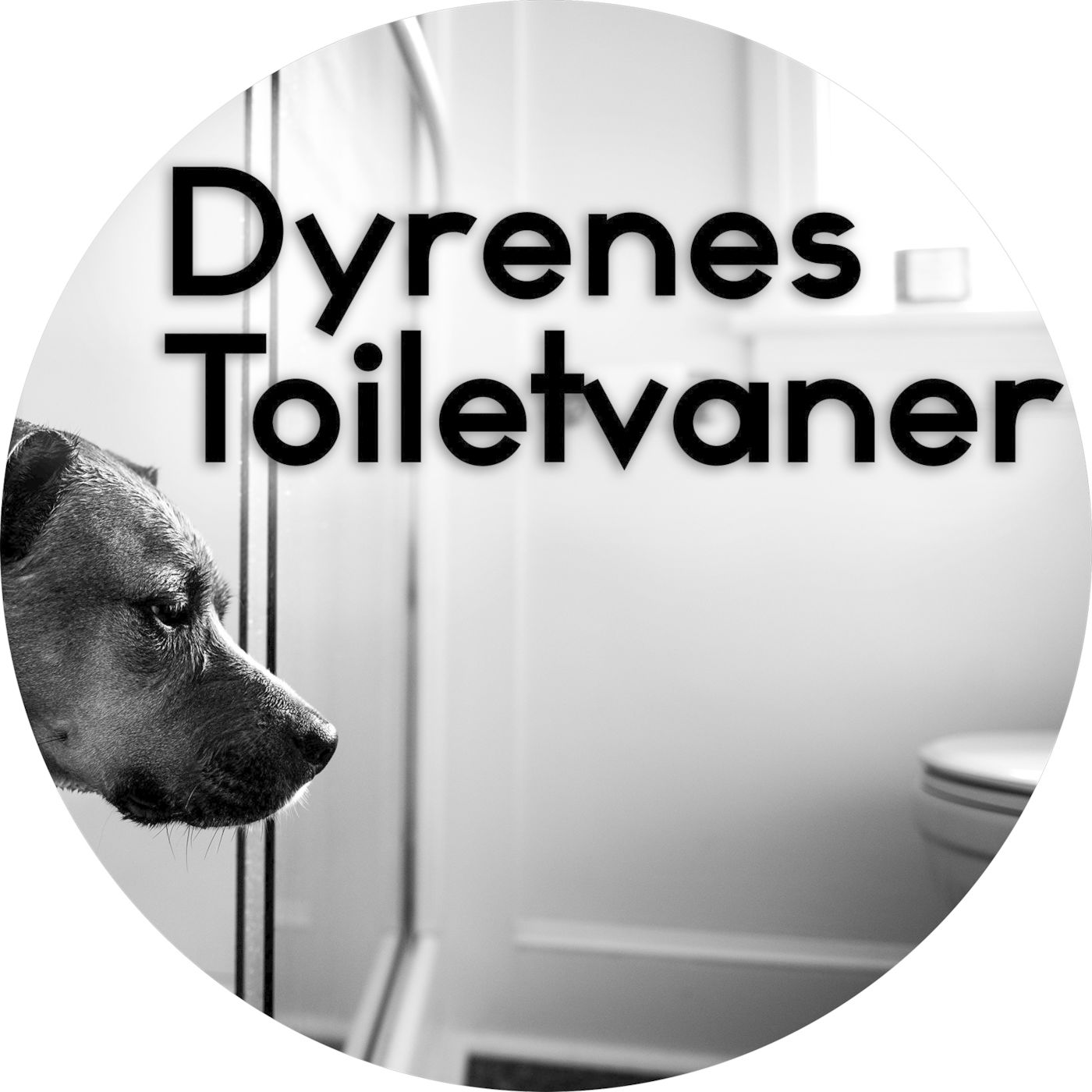 Videnskabeligt Udfordret