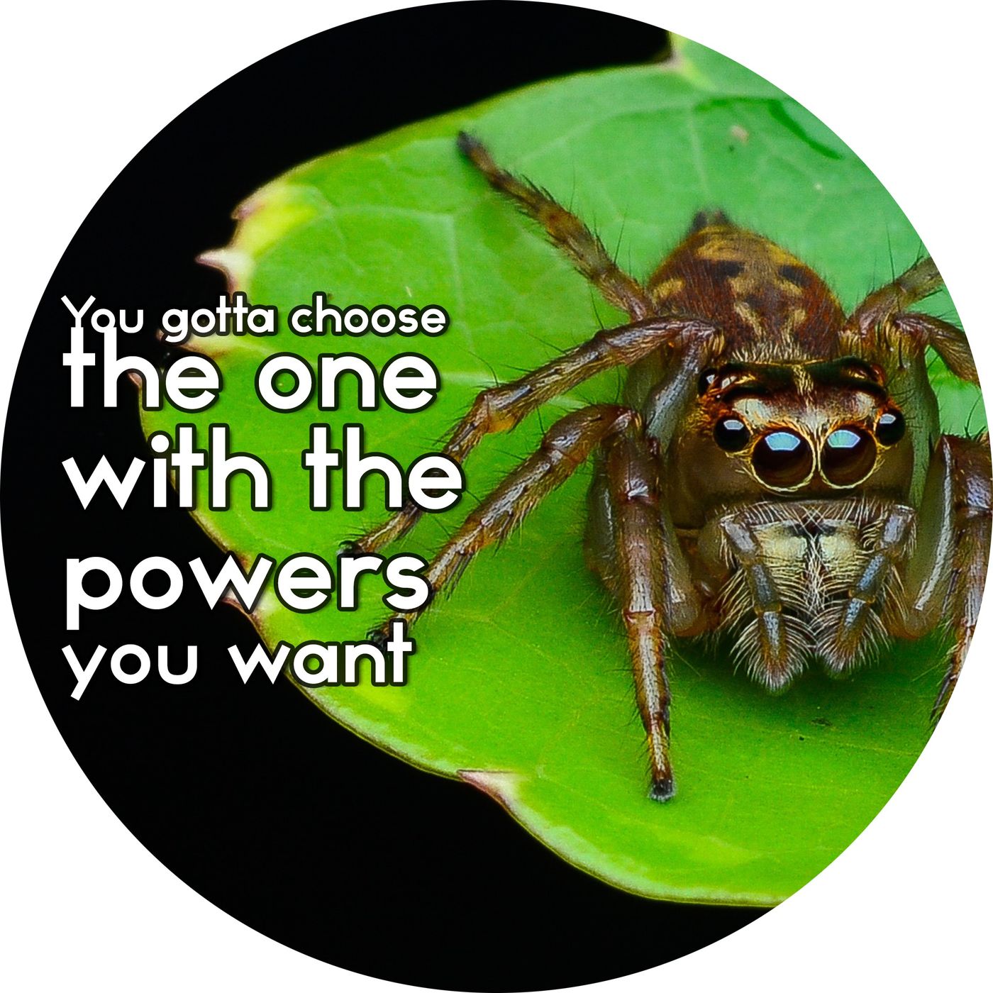 Videnskabeligt Udfordret