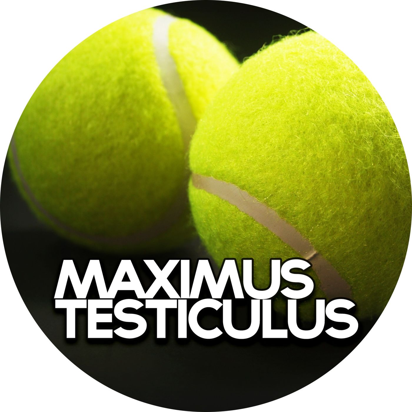 cover art for #2.01: Maximus Testiculus